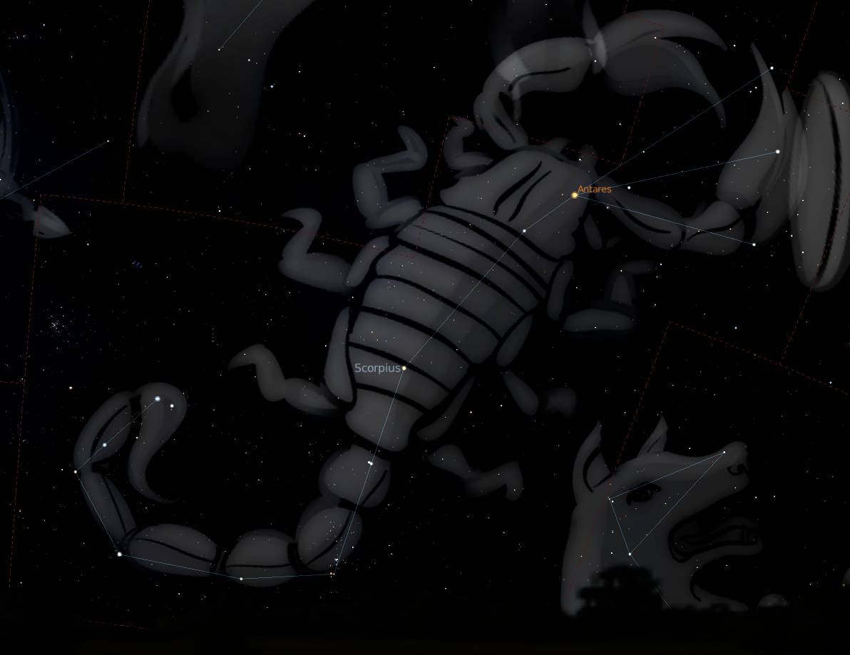 Scorpio And Other Constellations Background