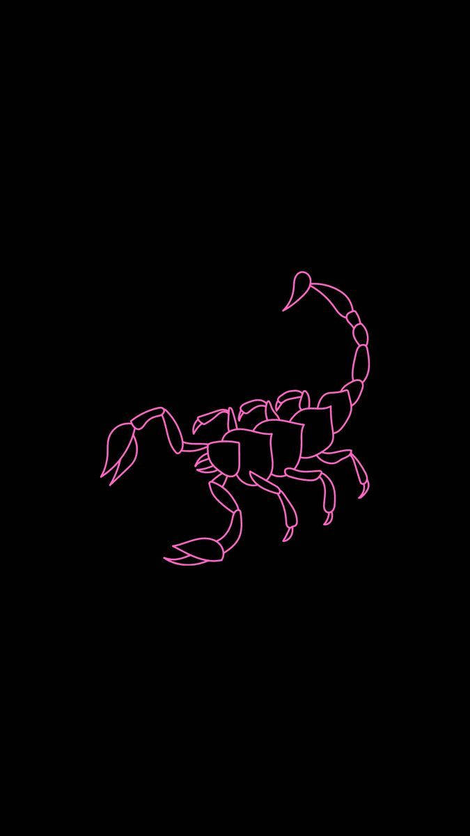 Scorpio Pink Line Art Background