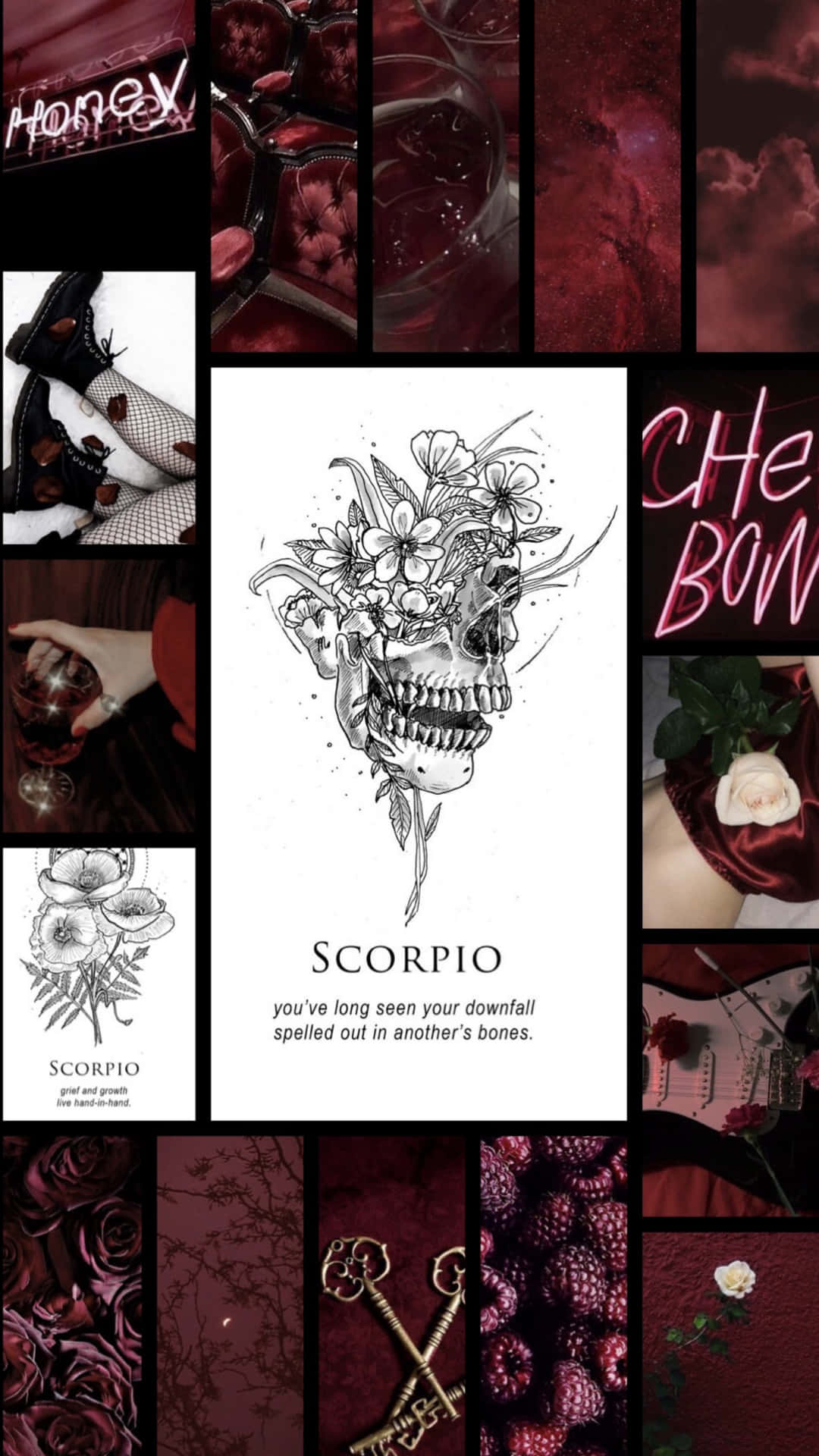 Scorpio Zodiac Collage Background