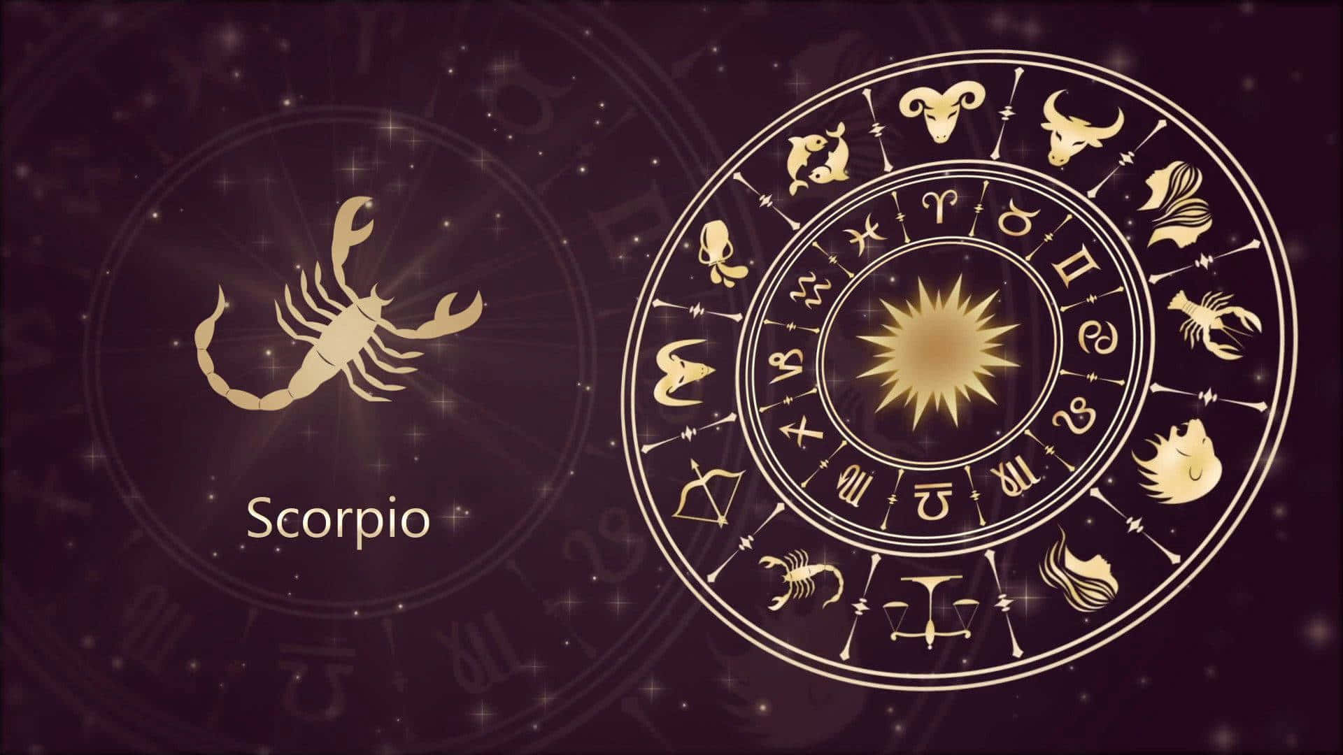 Scorpio Zodiac Sign In Horoscope Background