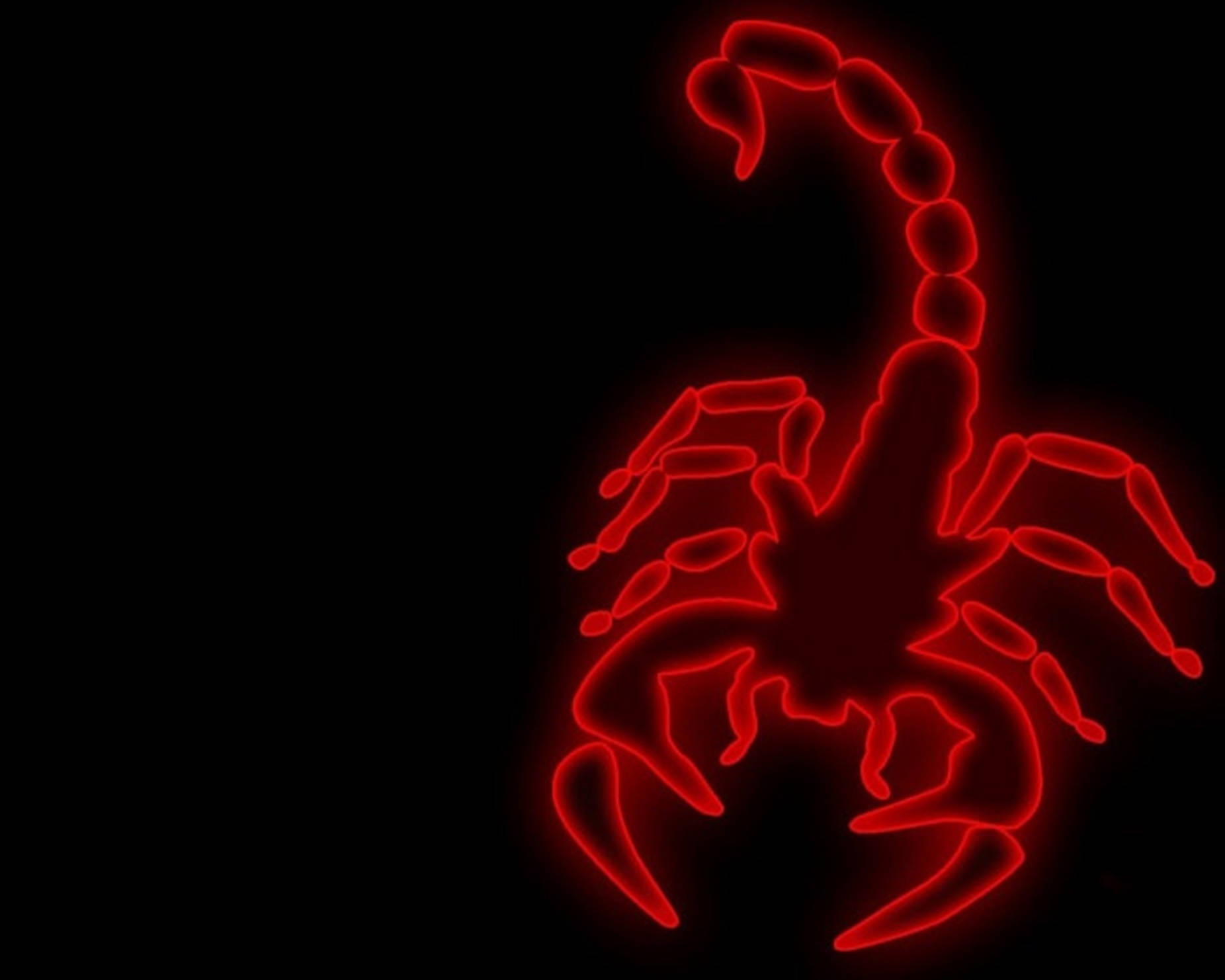 Scorpion Art Red Neon Background