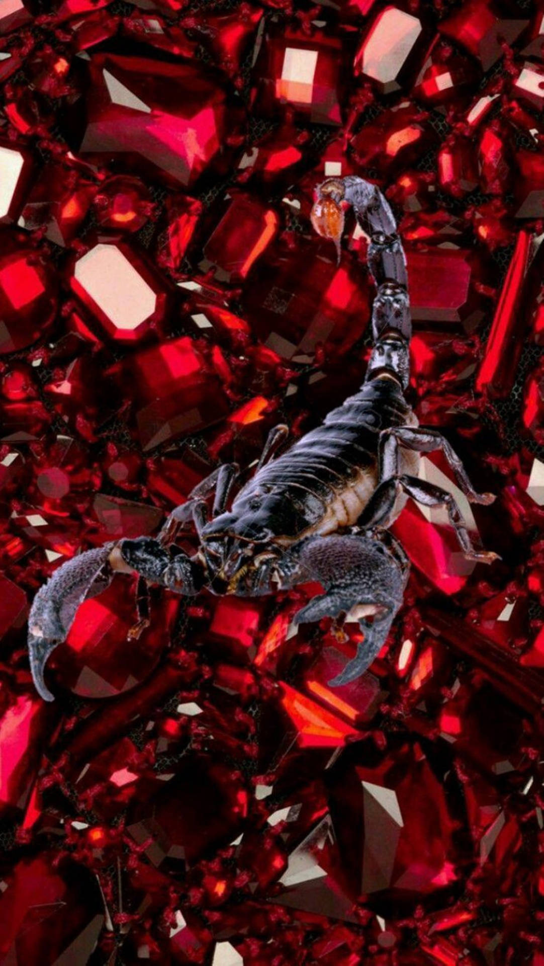 Scorpion Black On Red Aesthetic Gems Background