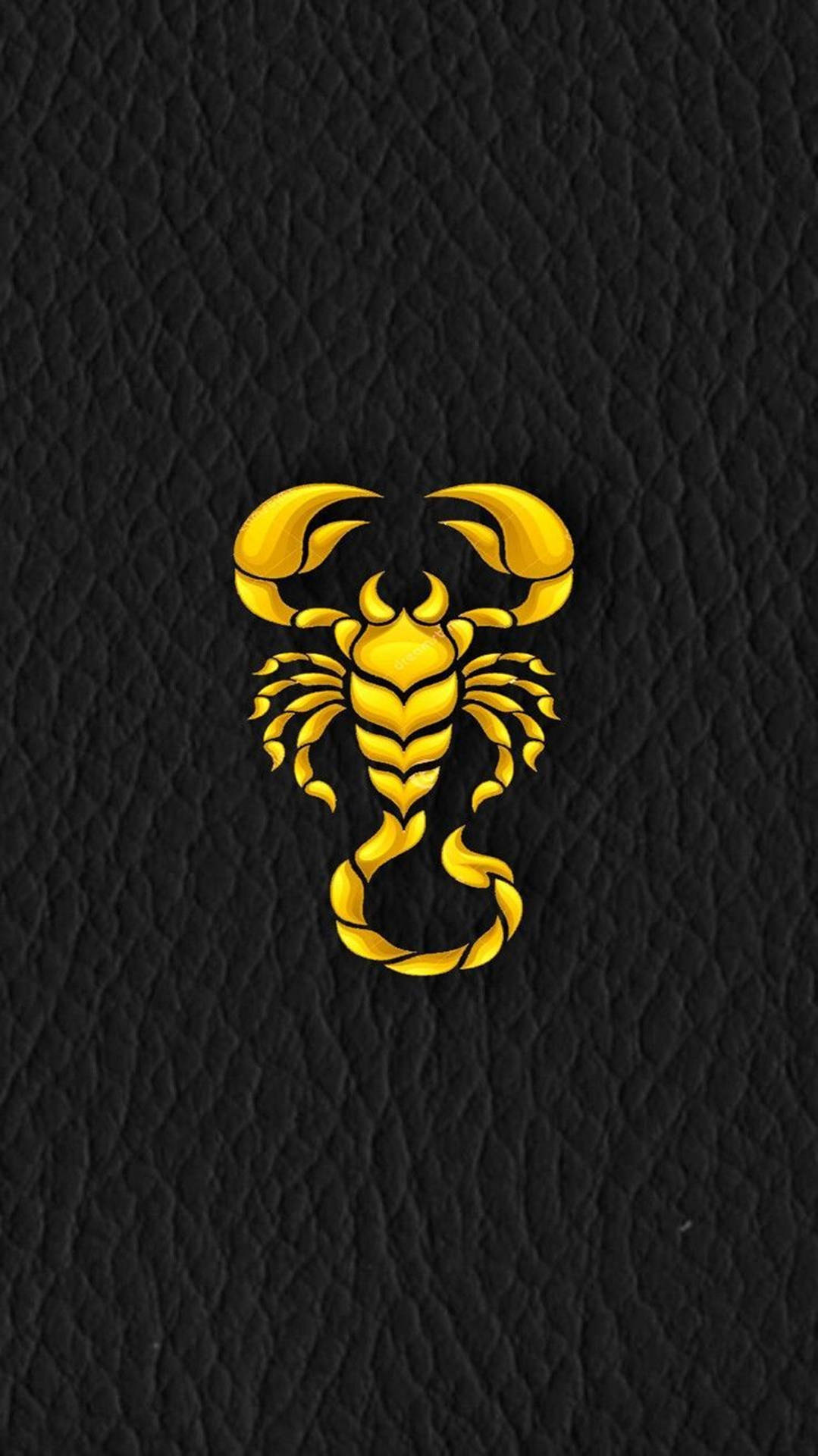 Scorpion Gold Aesthetic Leather Surface Background