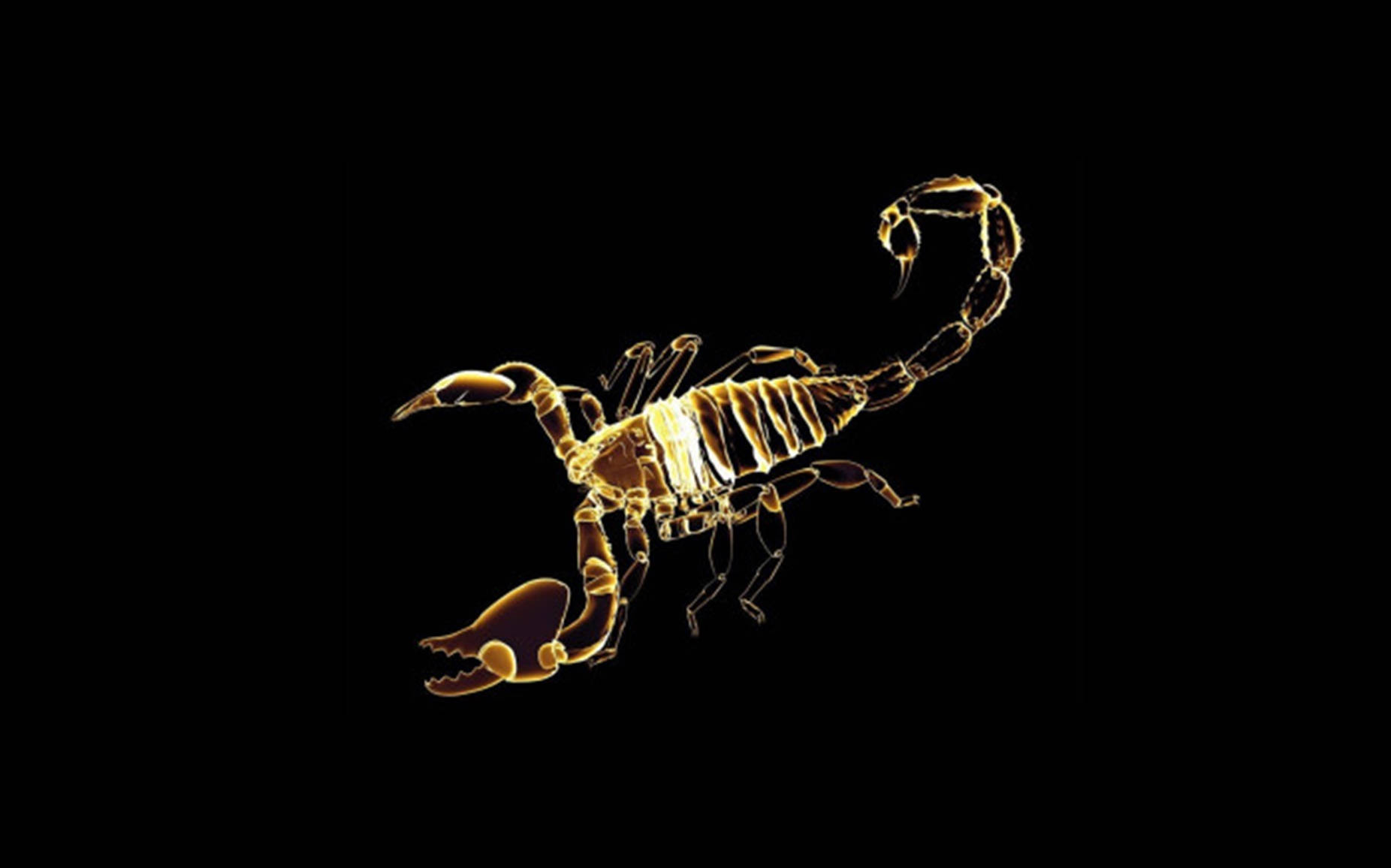 Scorpion Gold Hologram Art Background