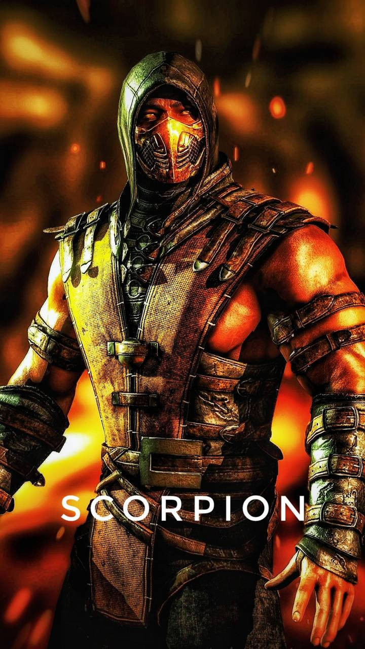 Scorpion On Fire Mk11 Poster Art Background