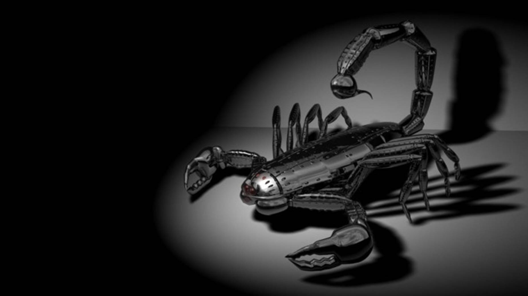 Scorpion Robot Black And White Background