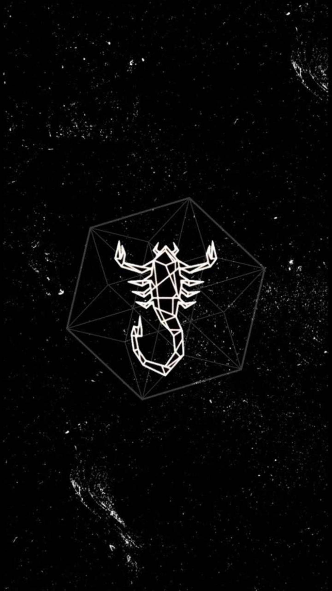 Scorpion Scorpio Constellation Galaxy Aesthetic Background