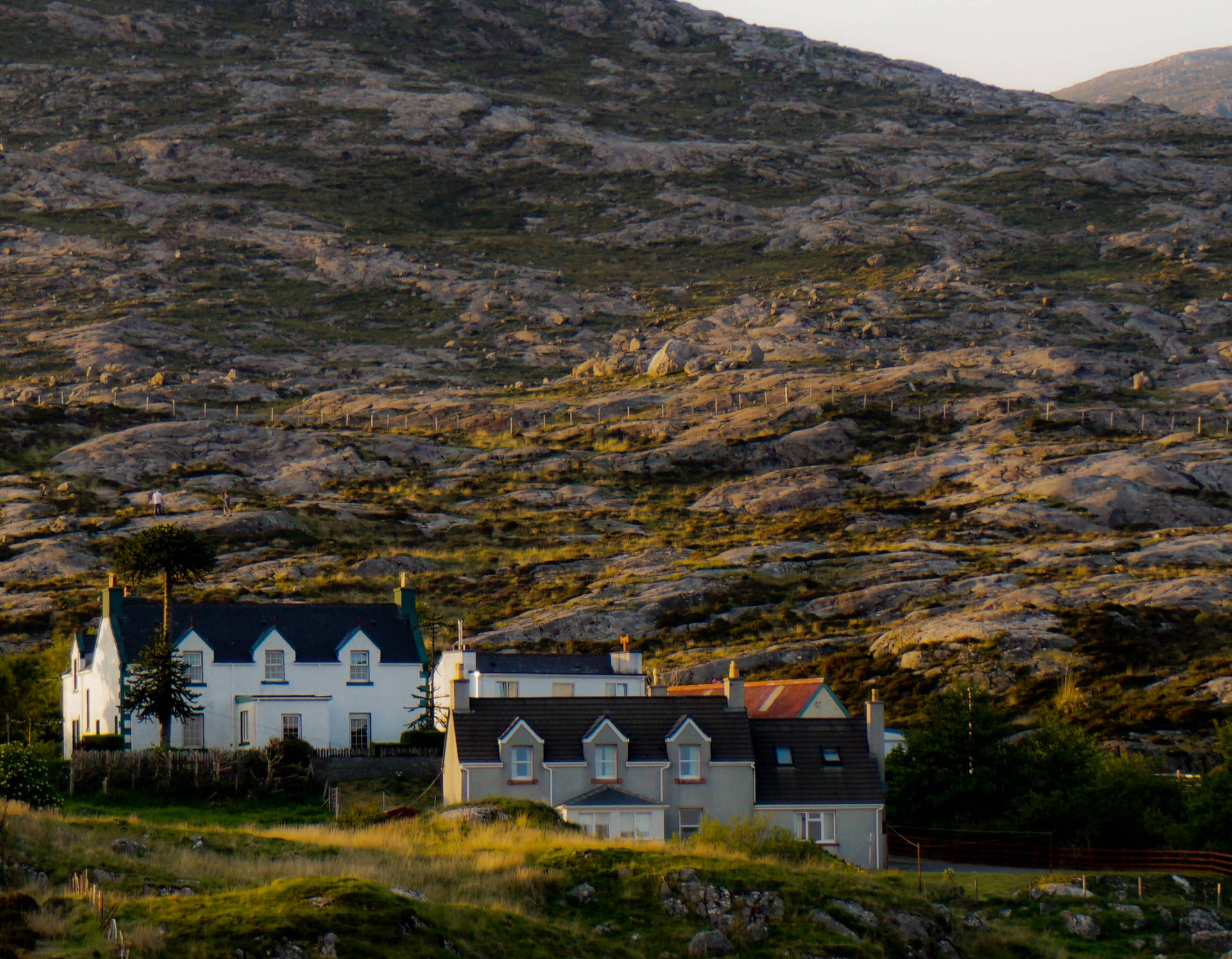 Scotland Houses On Hill Background