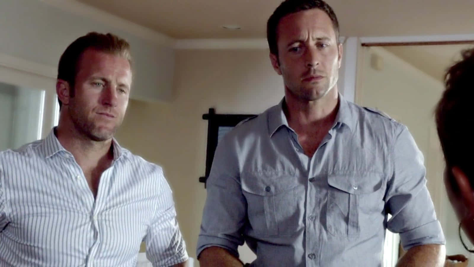 Scott Caan And Steve Mcgarrett Background