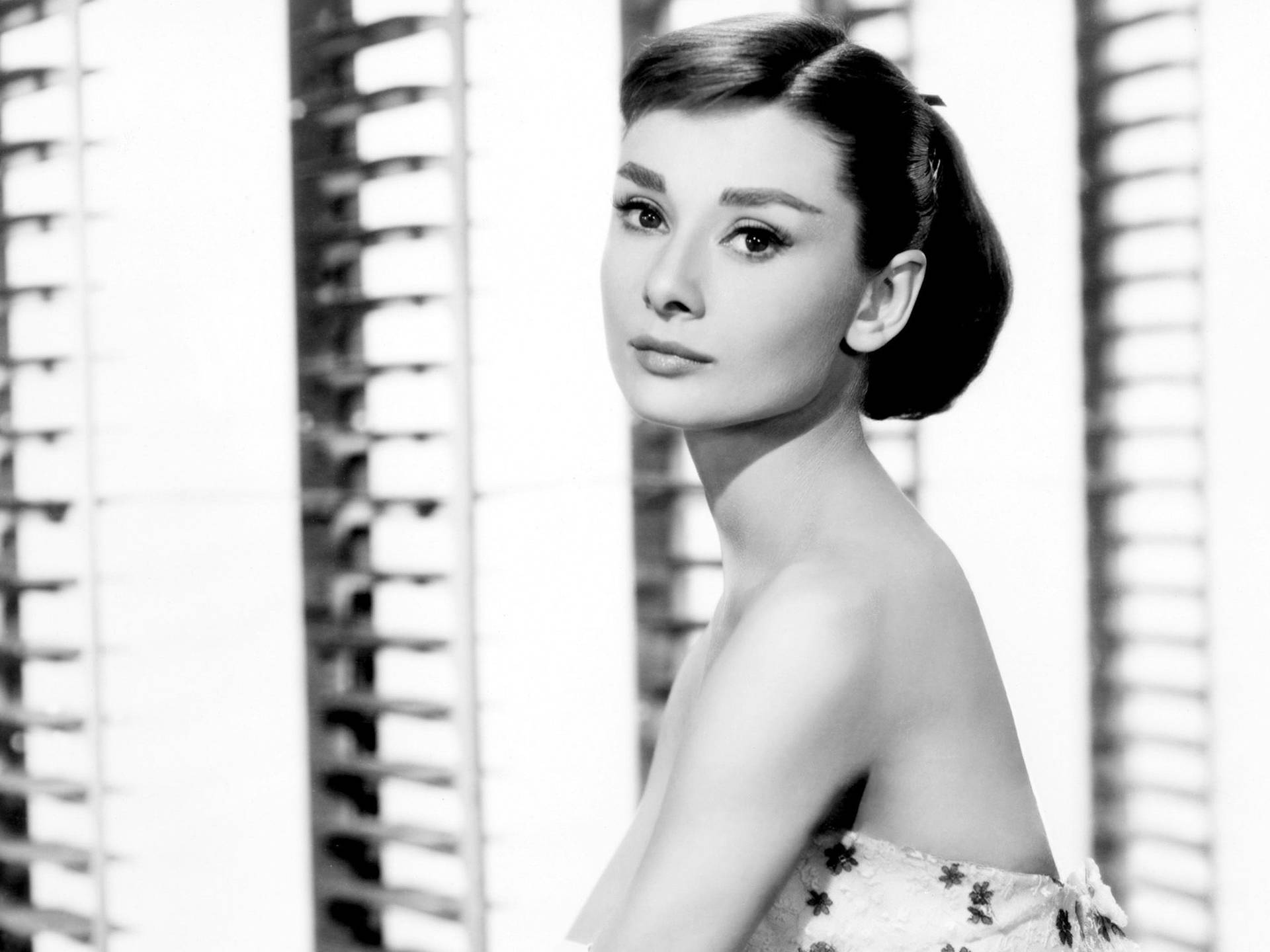Screen Legend Audrey Hepburn Background