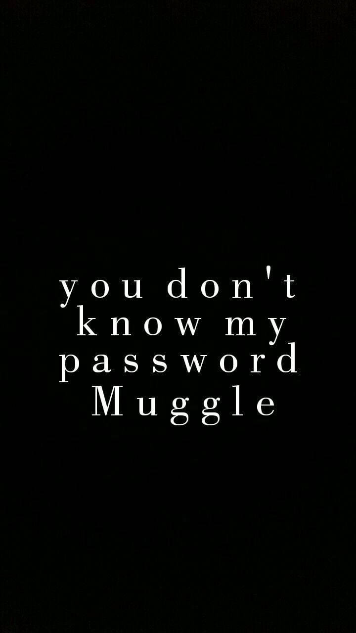 Screen Muggle Background