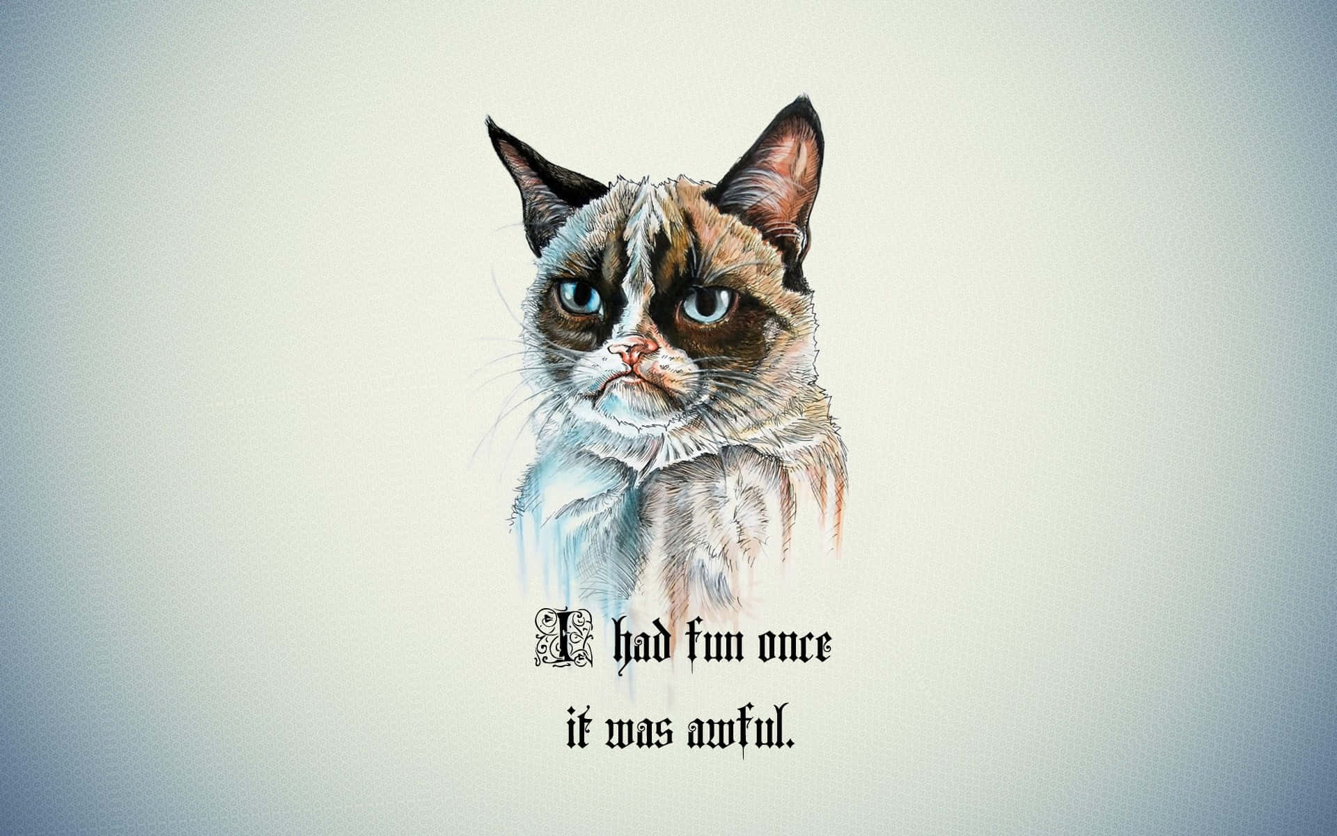 Scruffy Grumpy Cat Background