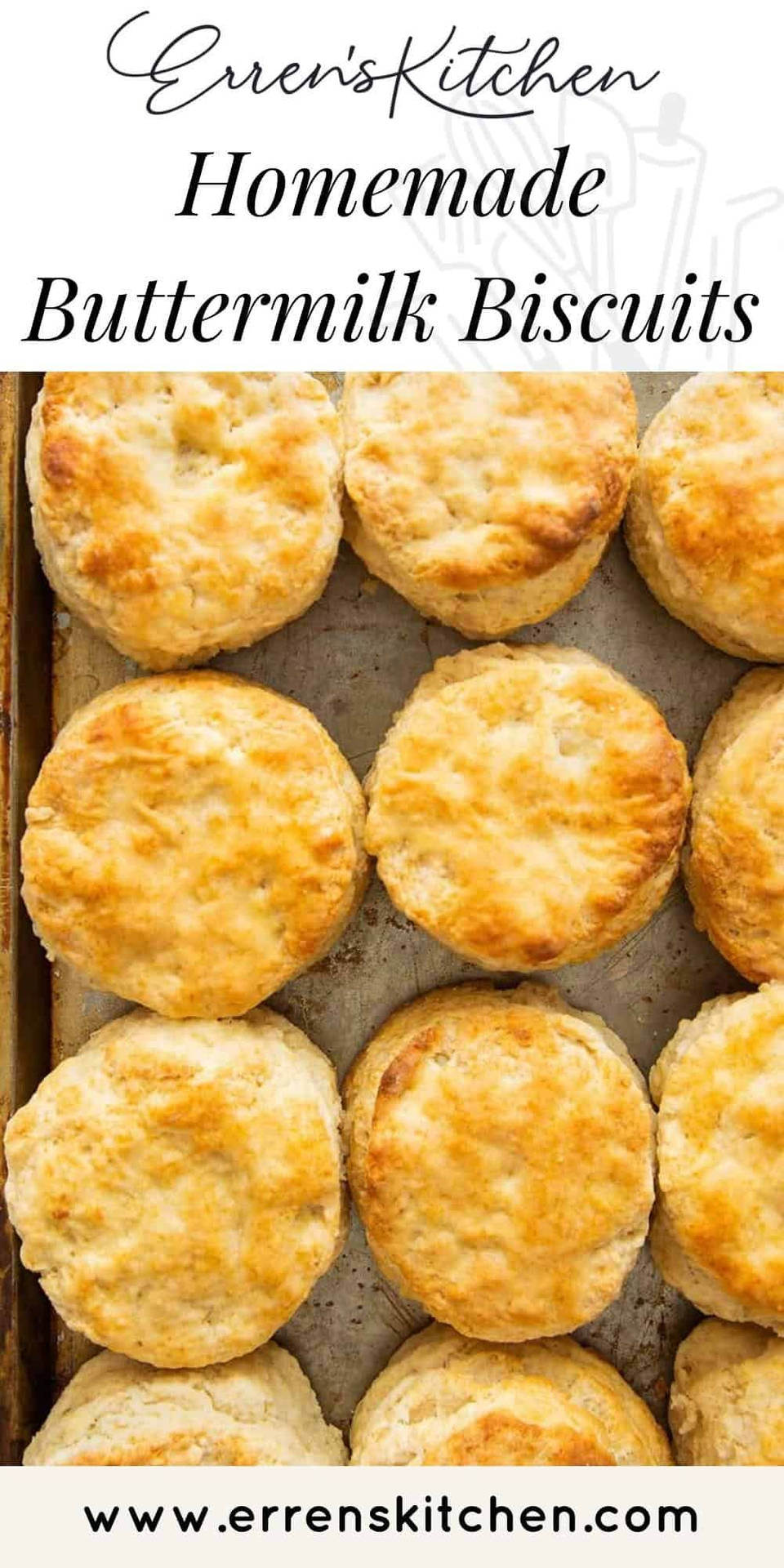 Scrumptious Buttermilk Biscuit Background