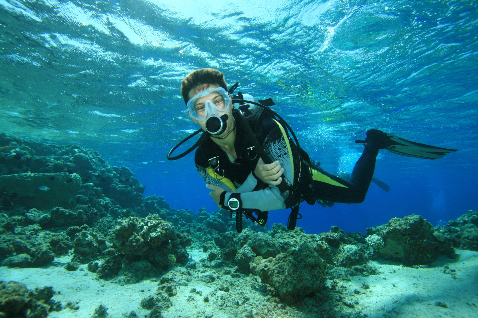 Scuba Diver Exploring The Ocean Depths Background