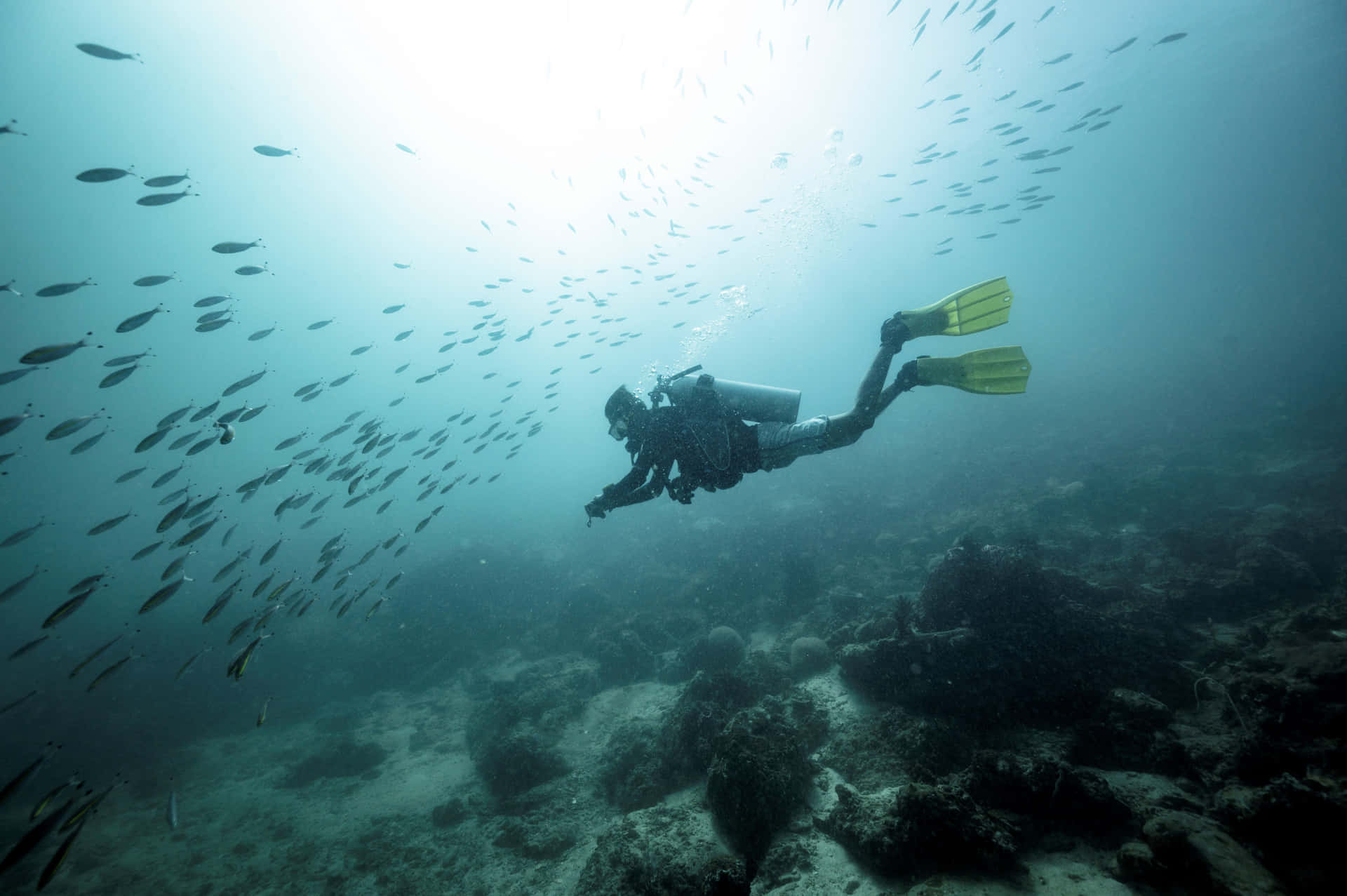 Scuba Diver Underwater Exploration.jpg Background