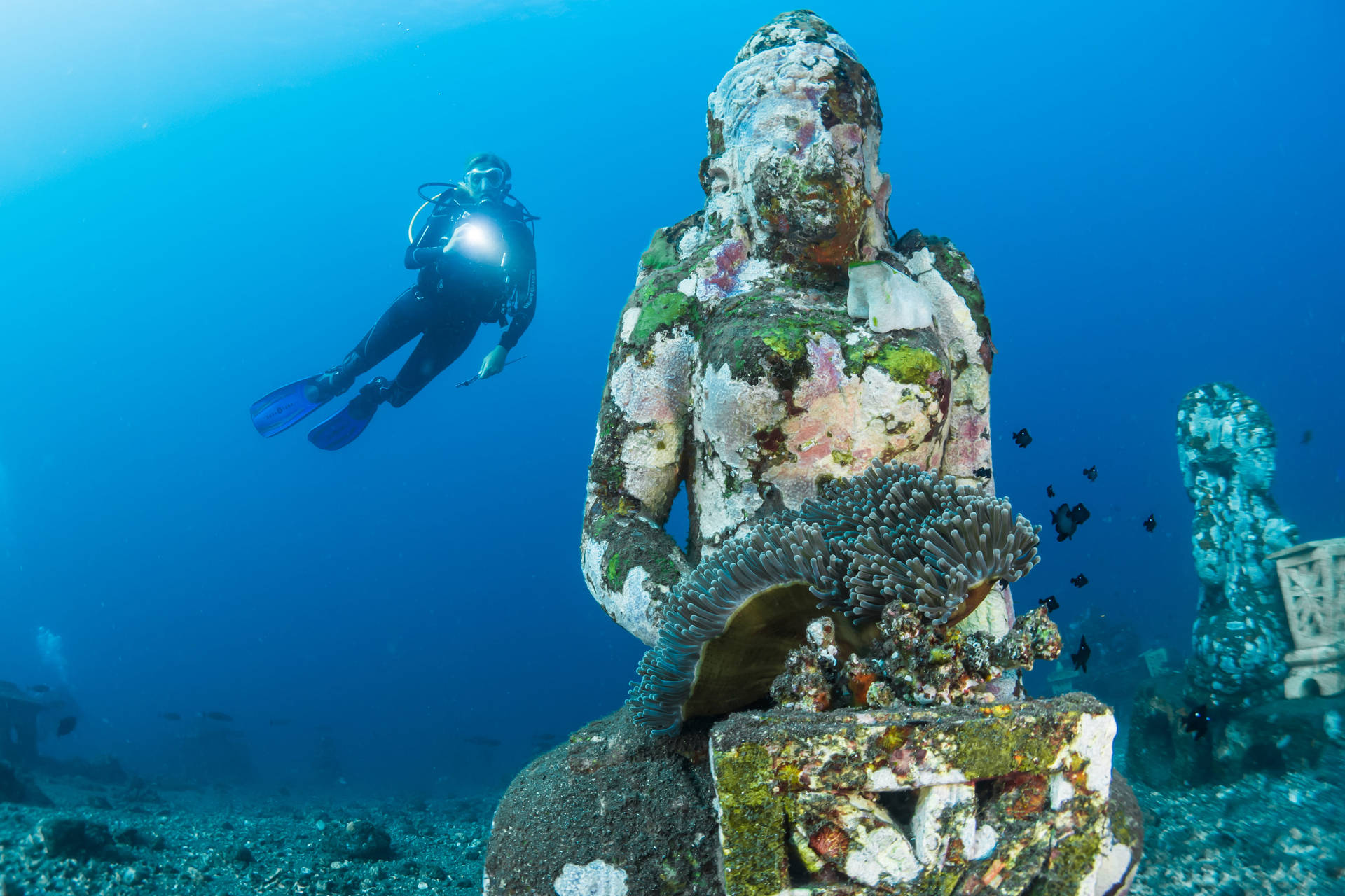 Scuba Diving Beside Sunken Statue Background