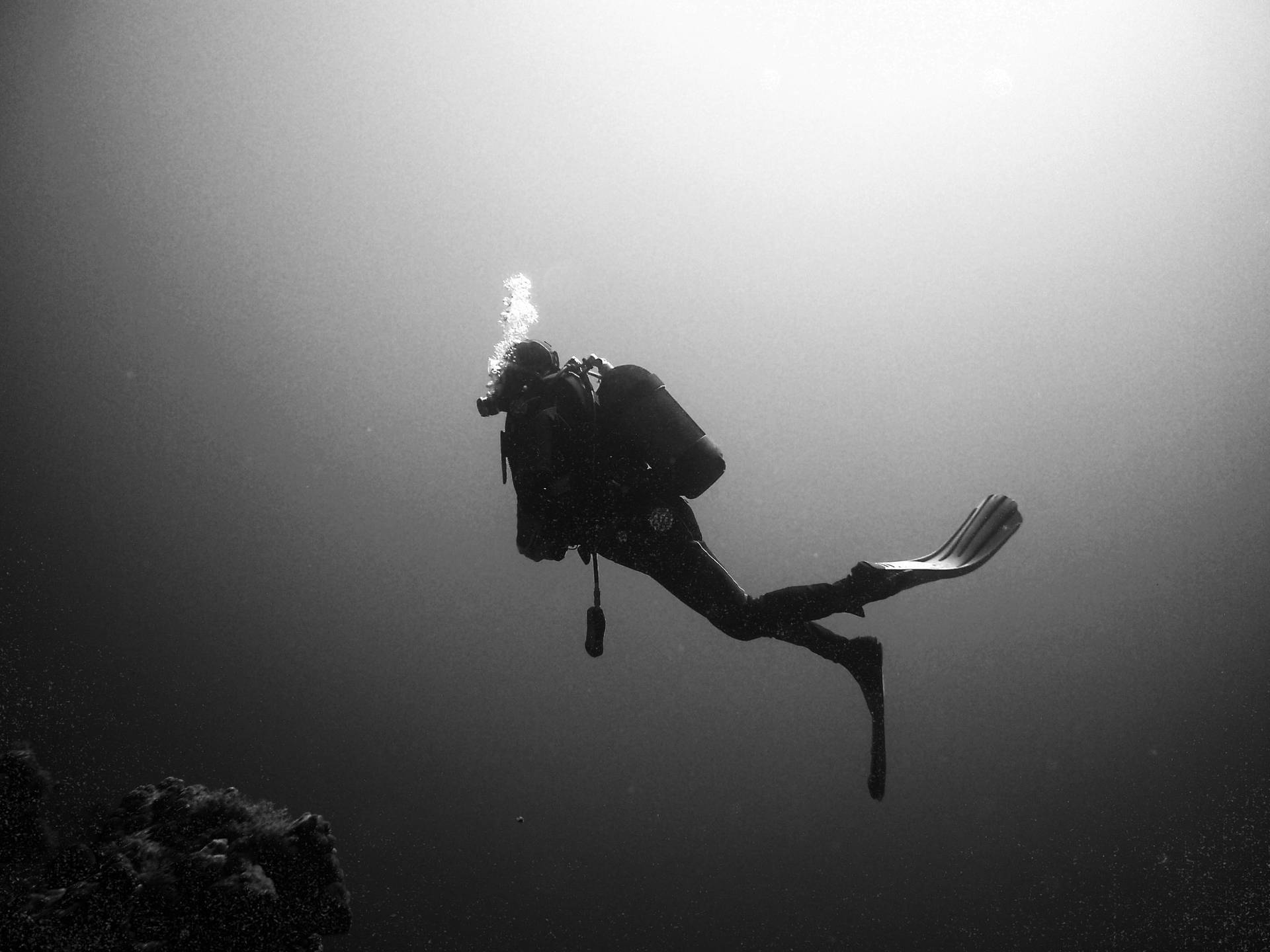 Scuba Diving Black And White Background