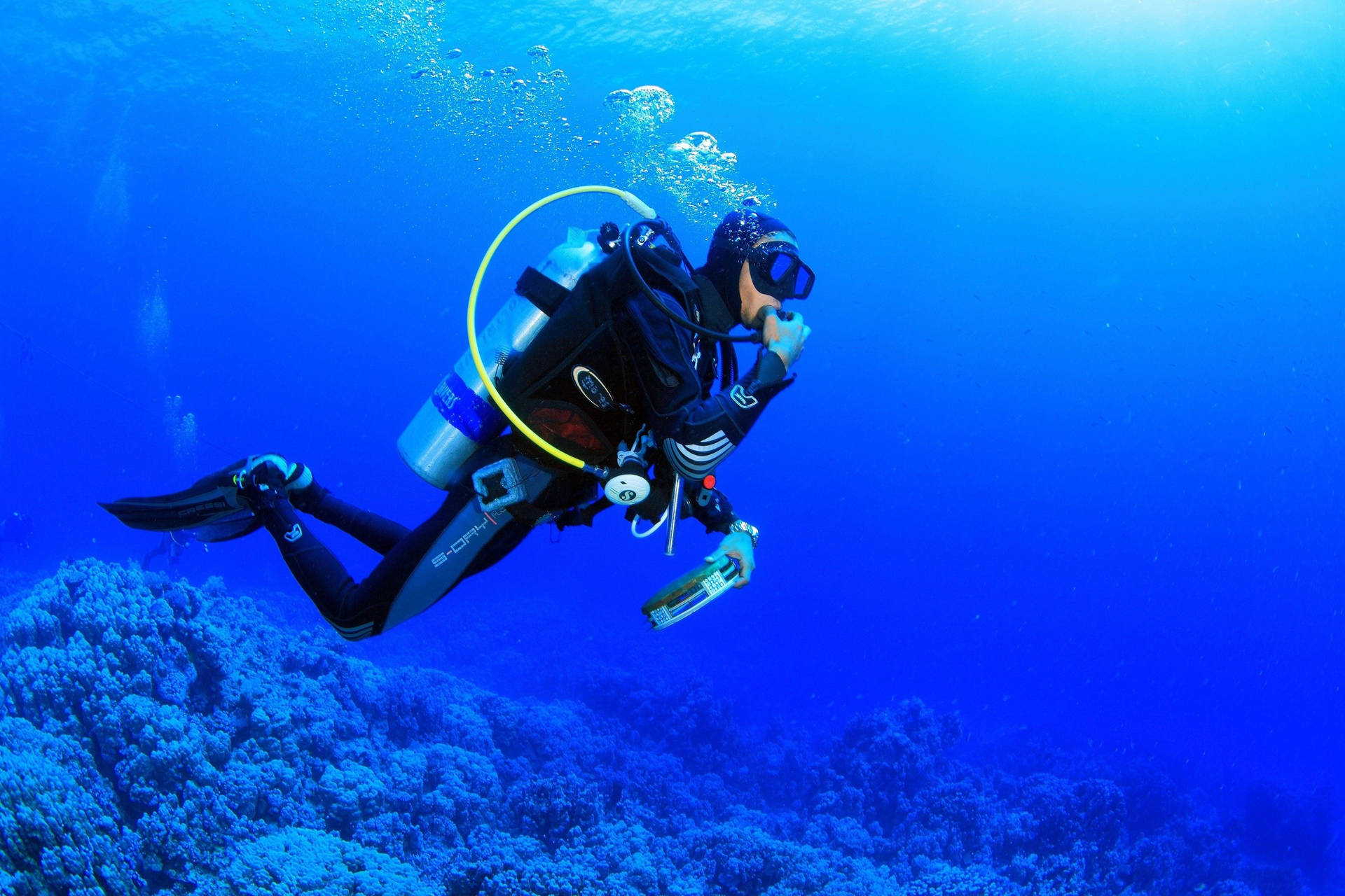 Scuba Diving Coral Reefs Background