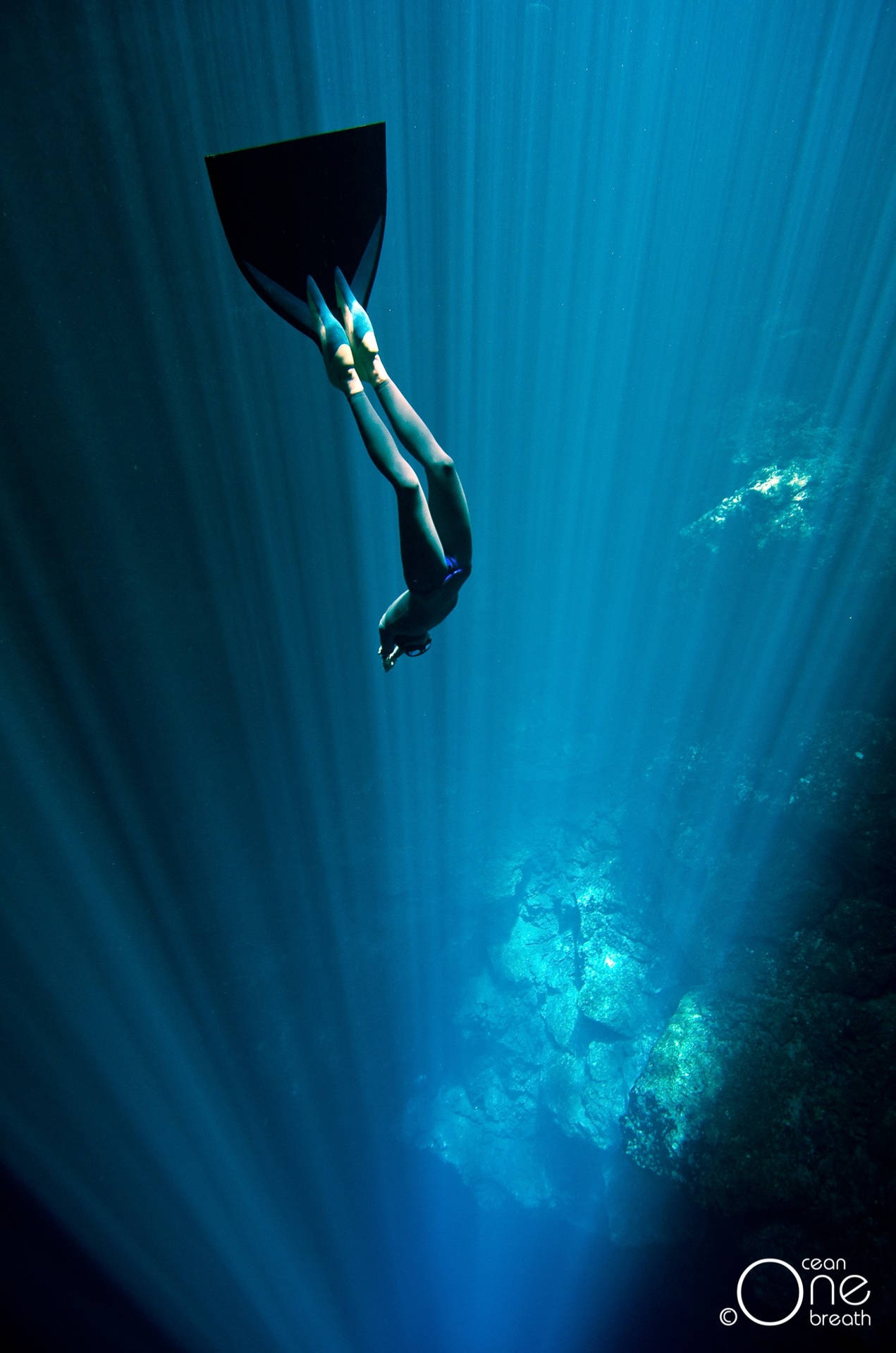 Scuba Diving Deep Into Ocean Background