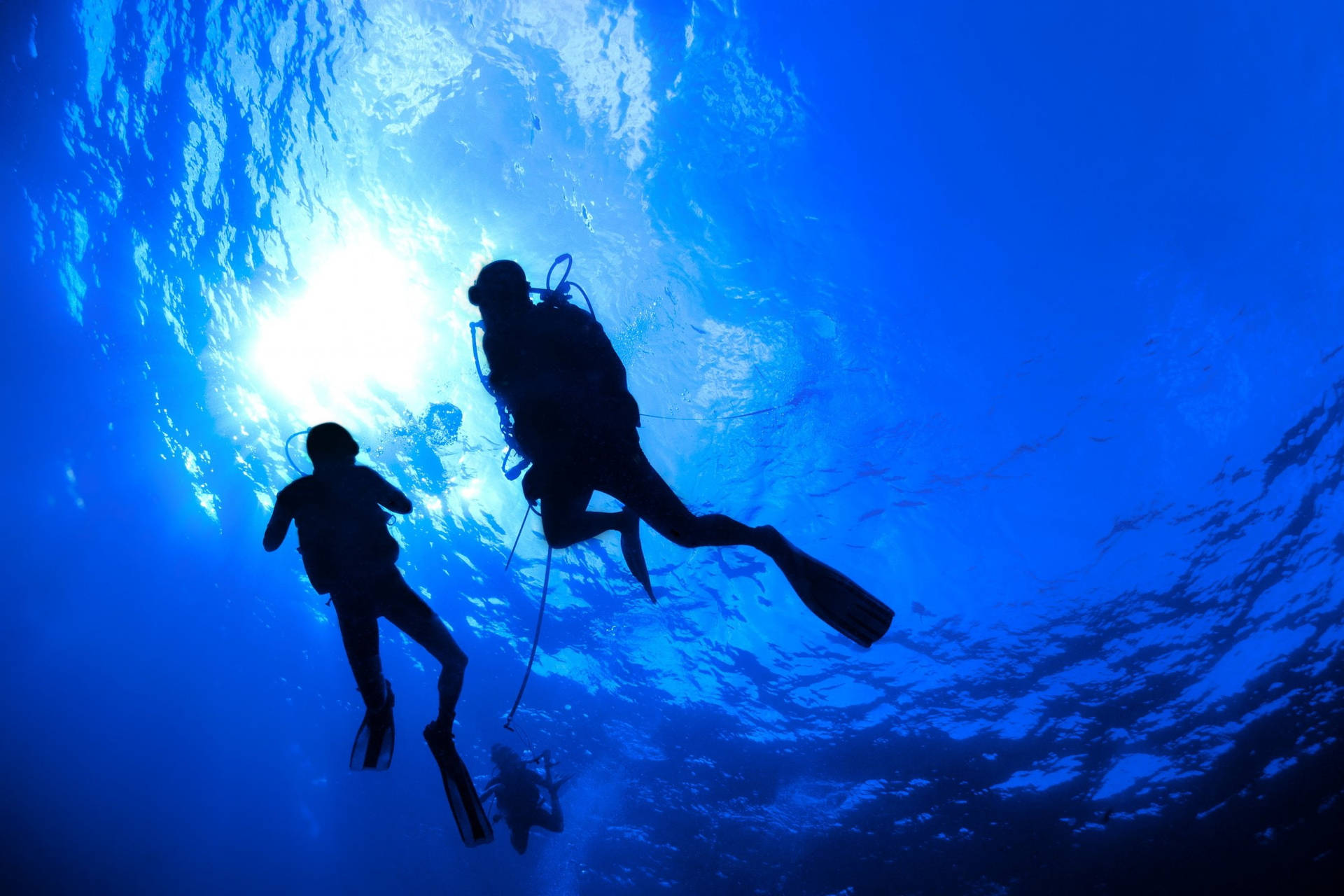 Scuba Diving Divers Silhouette Background