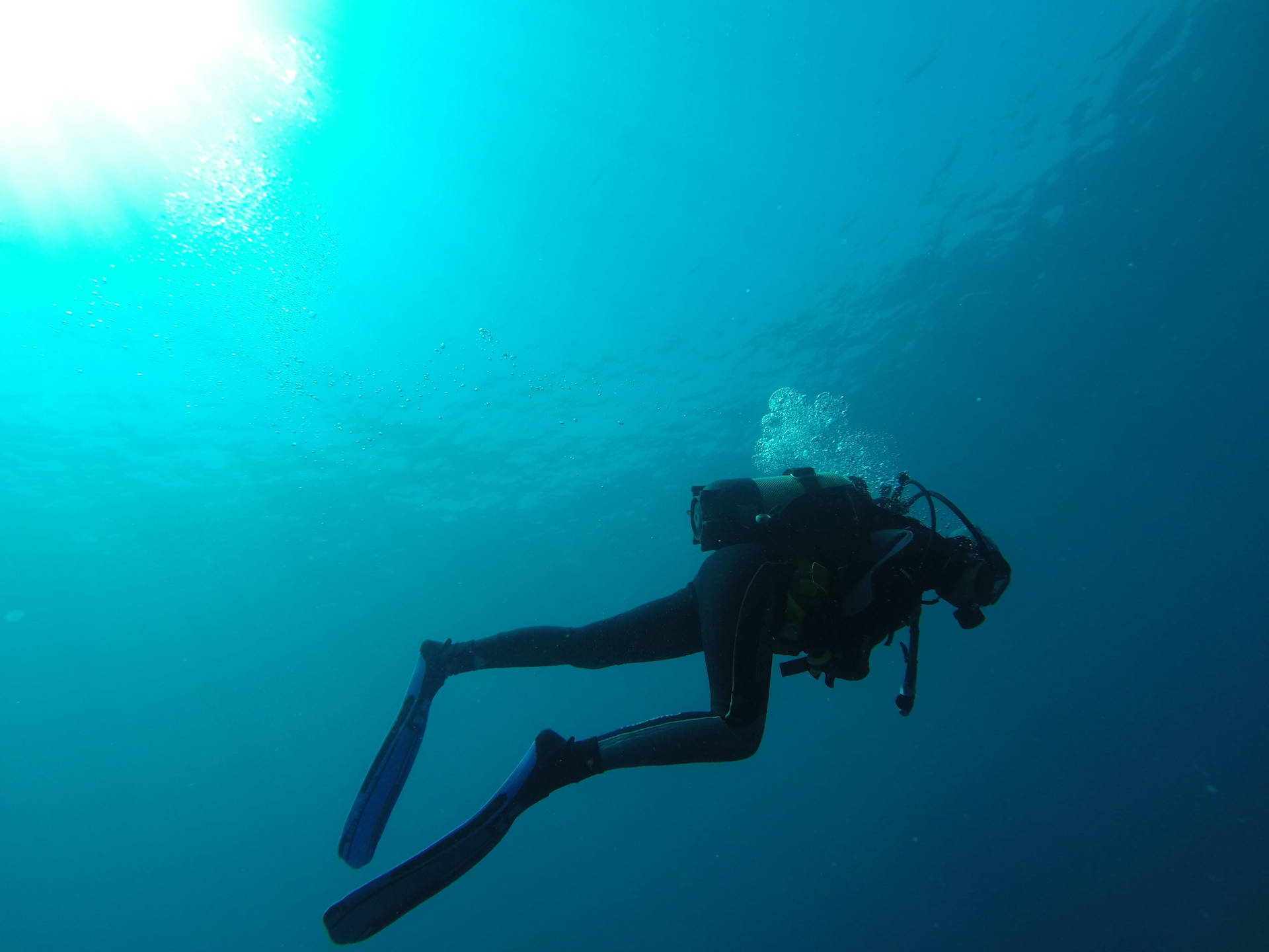 Scuba Diving Face Down Background