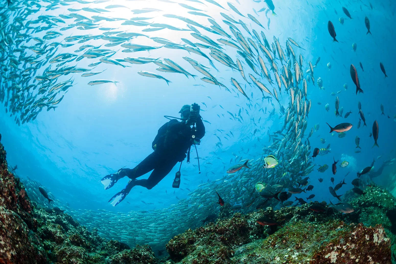 Scuba Diving In The Galapagos