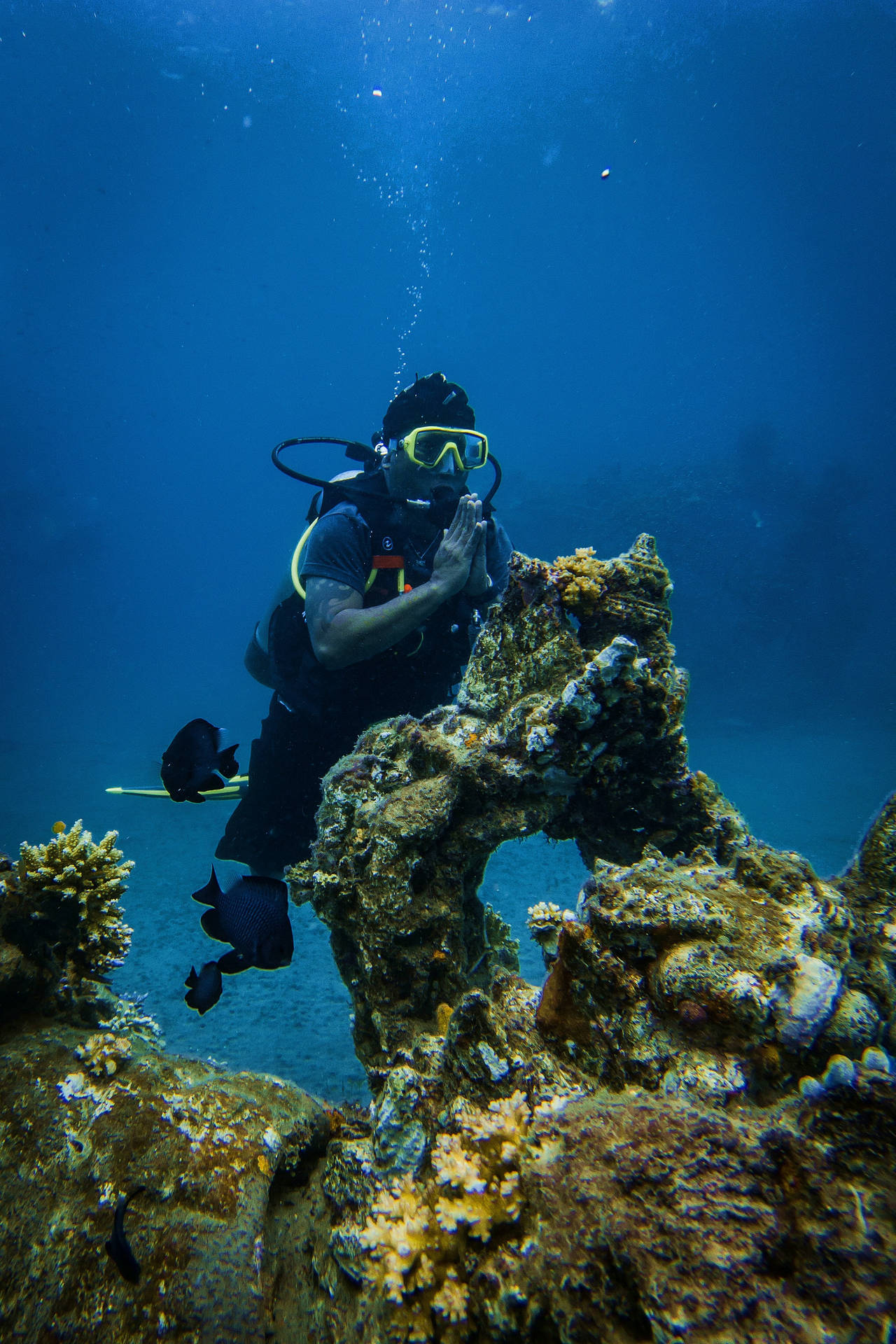 Scuba Diving Reef Diving Background