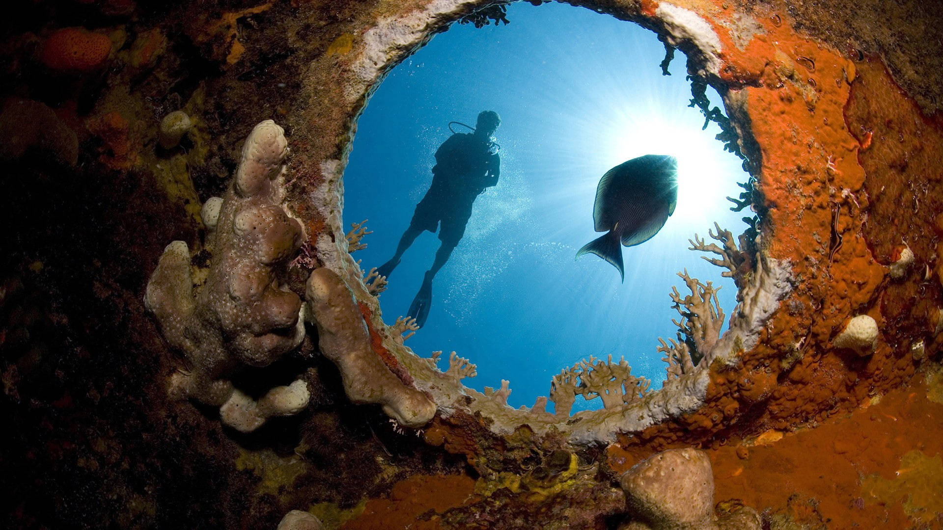 Scuba Diving Reflection On Porthole Background