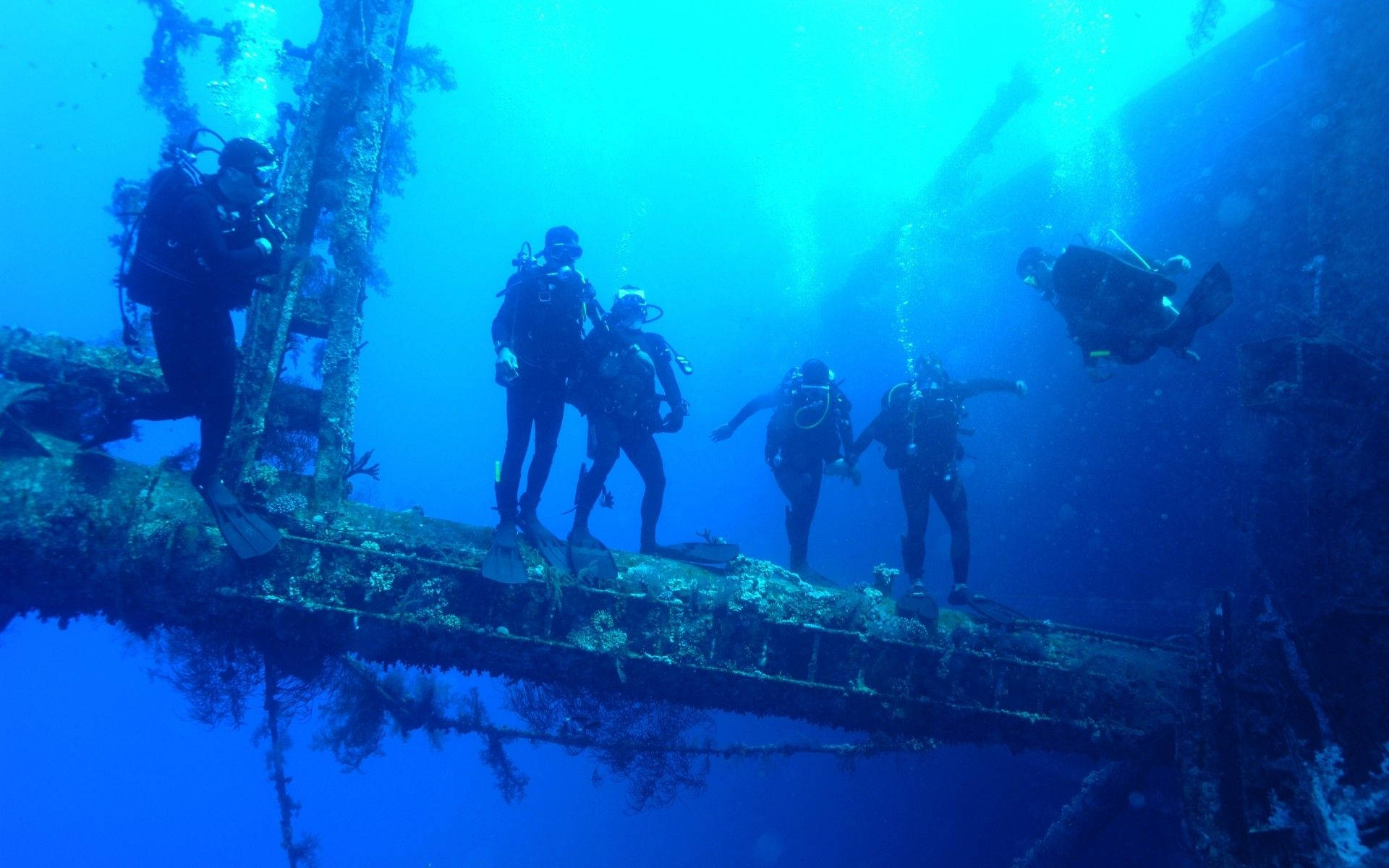 Scuba Diving Squad Exploring Sunken Ship Background