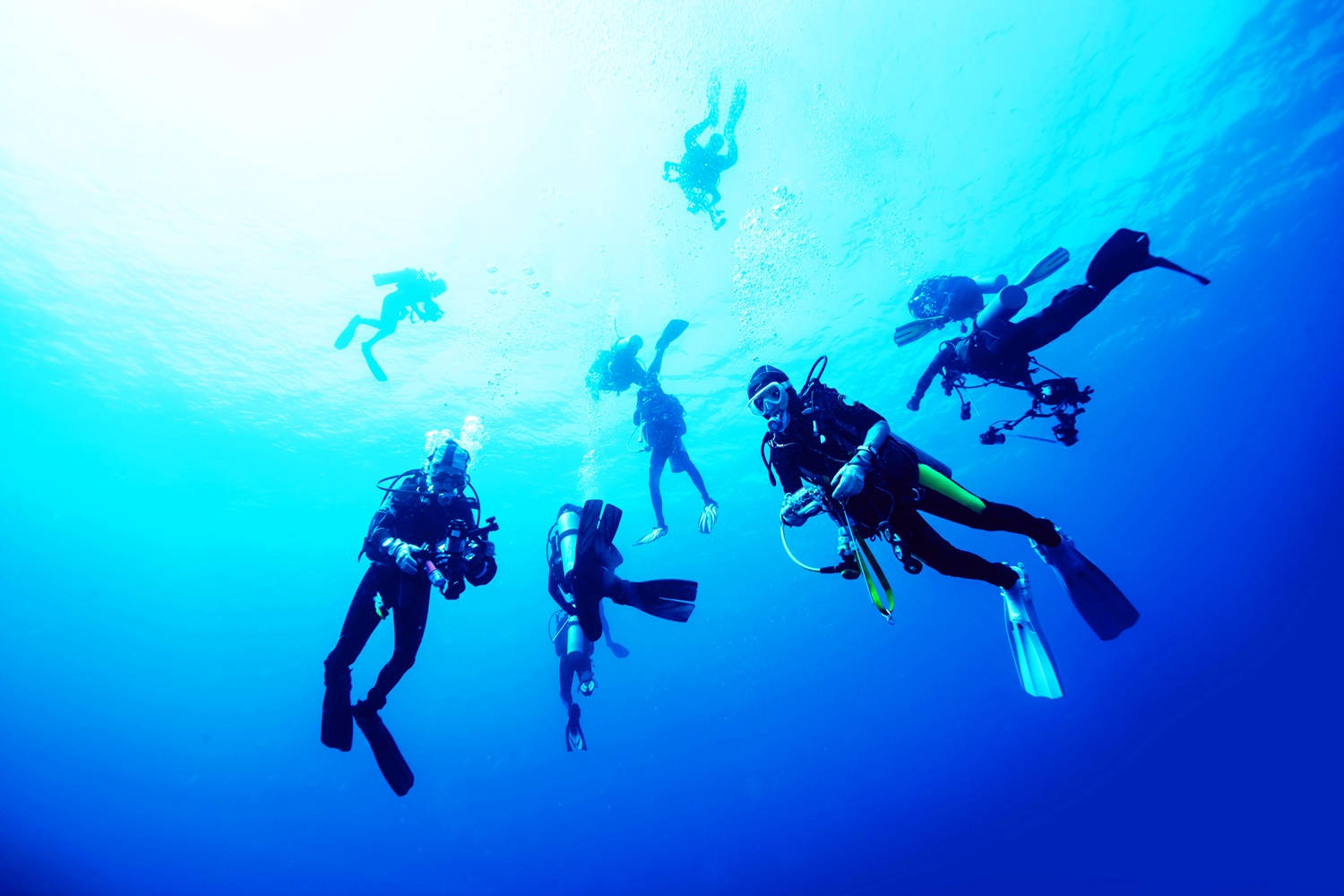 Scuba Diving Team Background