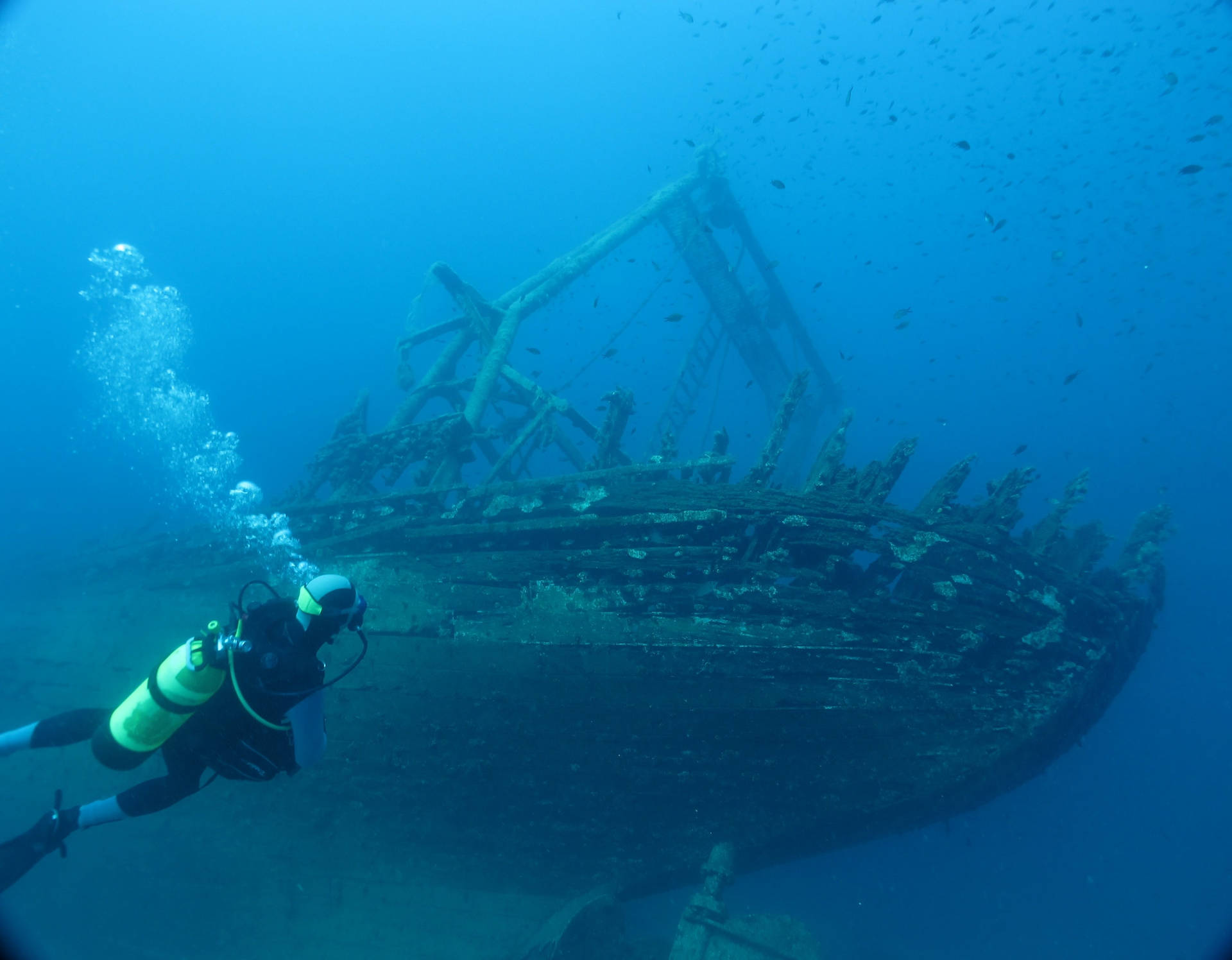 Scuba Diving Underwater Shipwreck Background