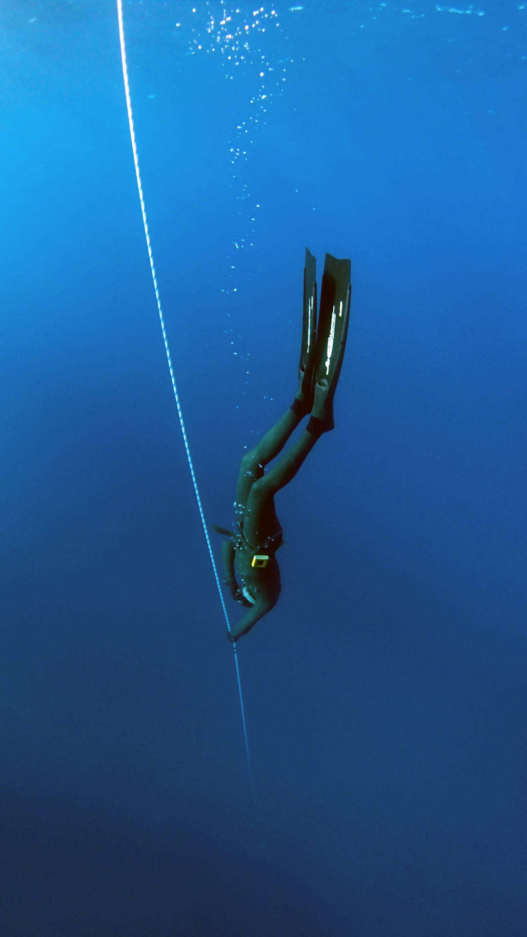 Scuba Diving Underwater Shot Background