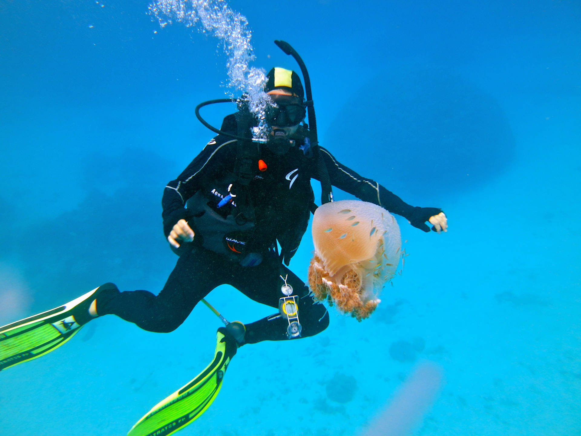 Scuba Diving With Jellyfish Background