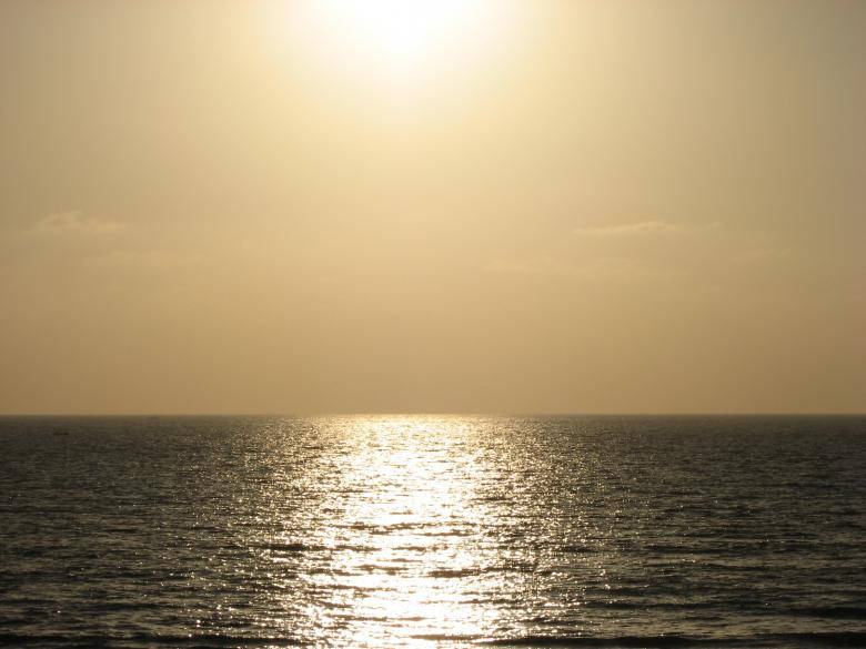Sea During Golden Hours Background