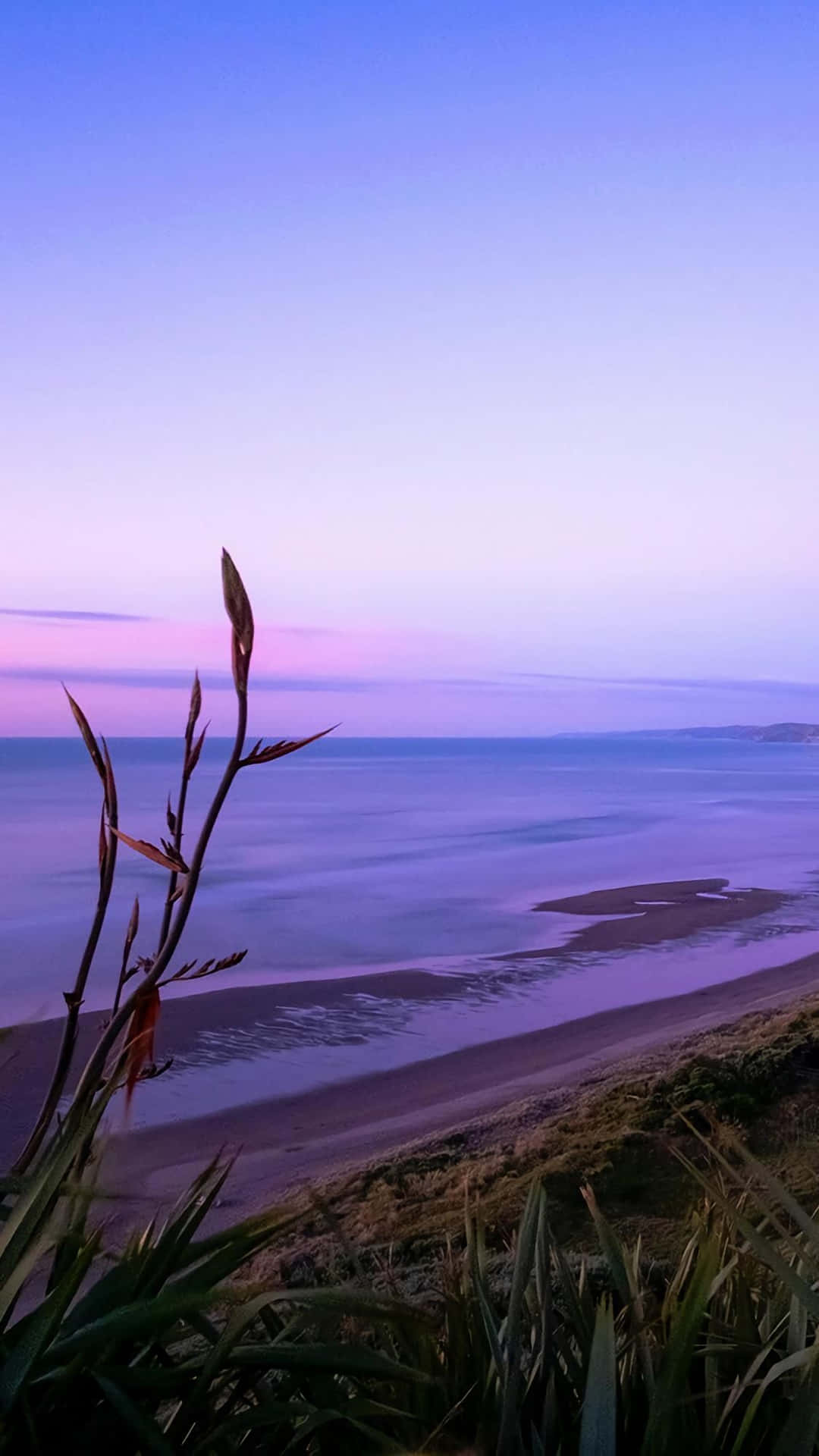 Sea During Purple Sunset Nature Android Hd Background