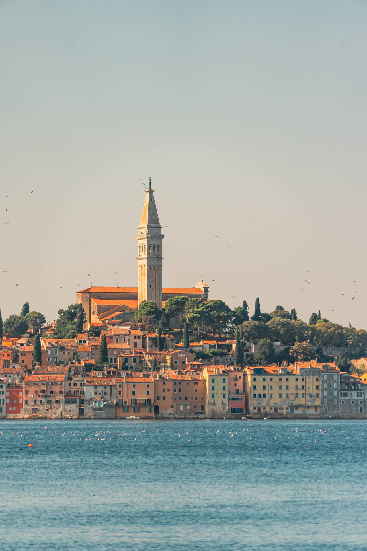 Sea Hd Rovinj Background