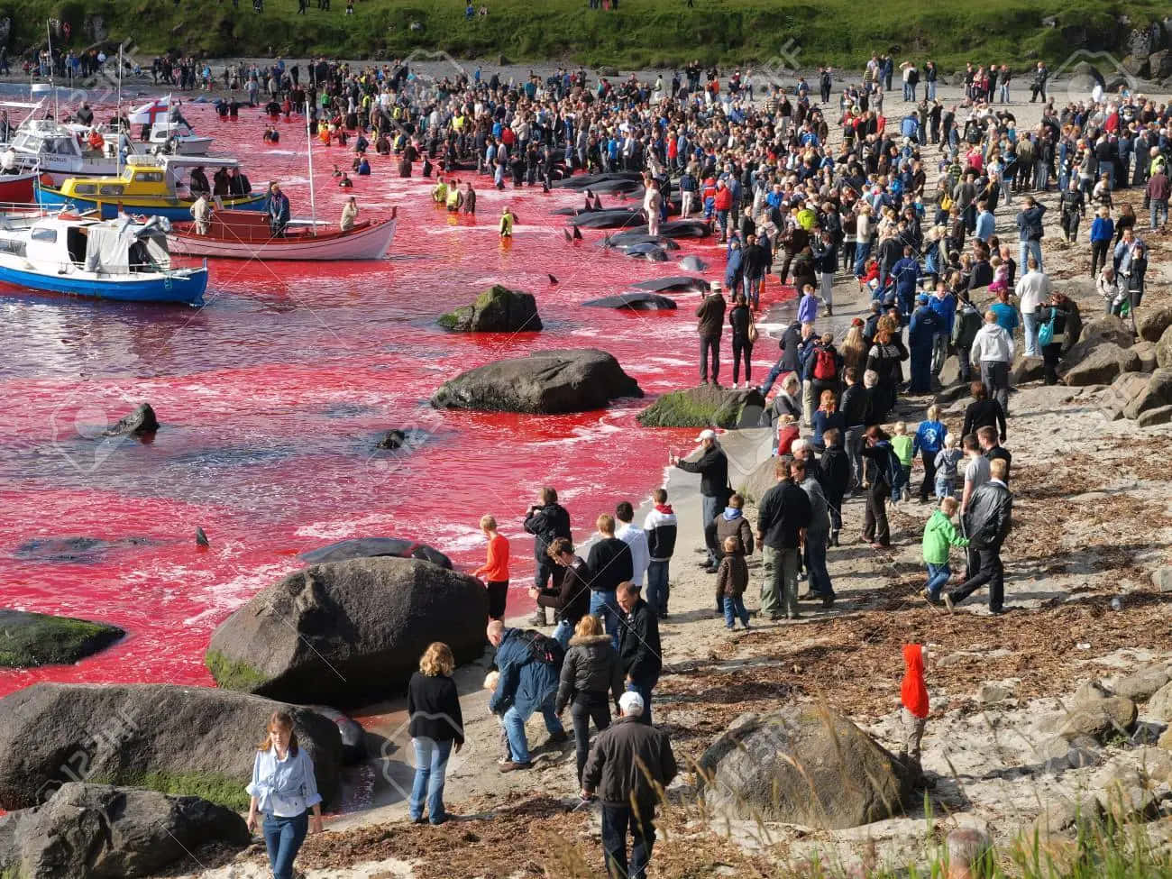 Sea Turning Red At Thorshavn Background