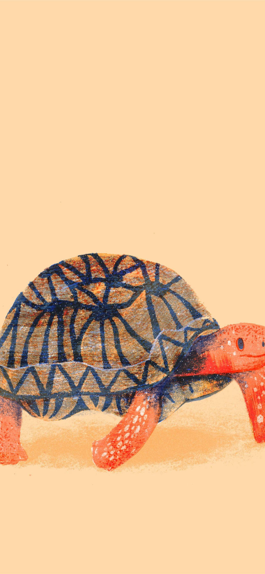 Sea Turtle Orange Art Iphone Background