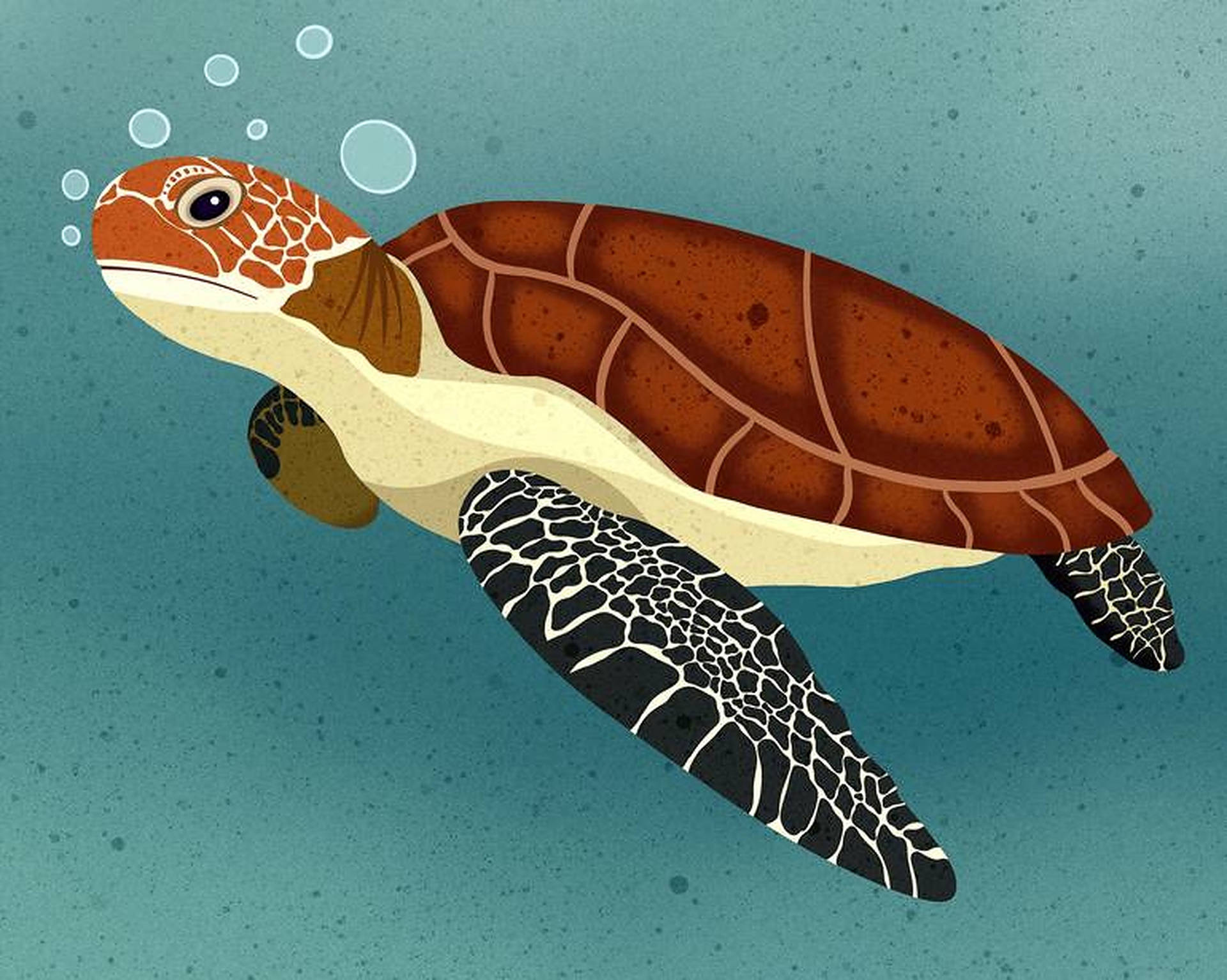 Sea Turtle Painting Background