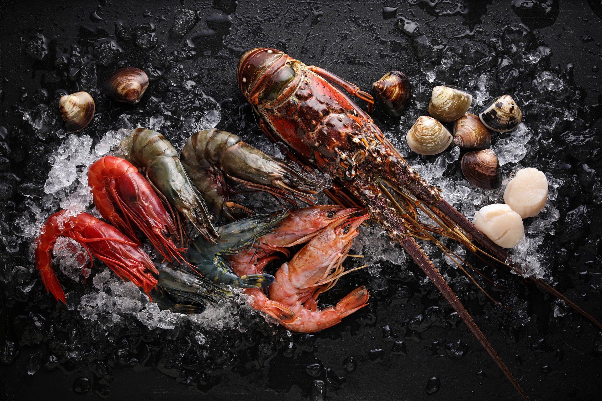Seafood Birds Eye View Image Background