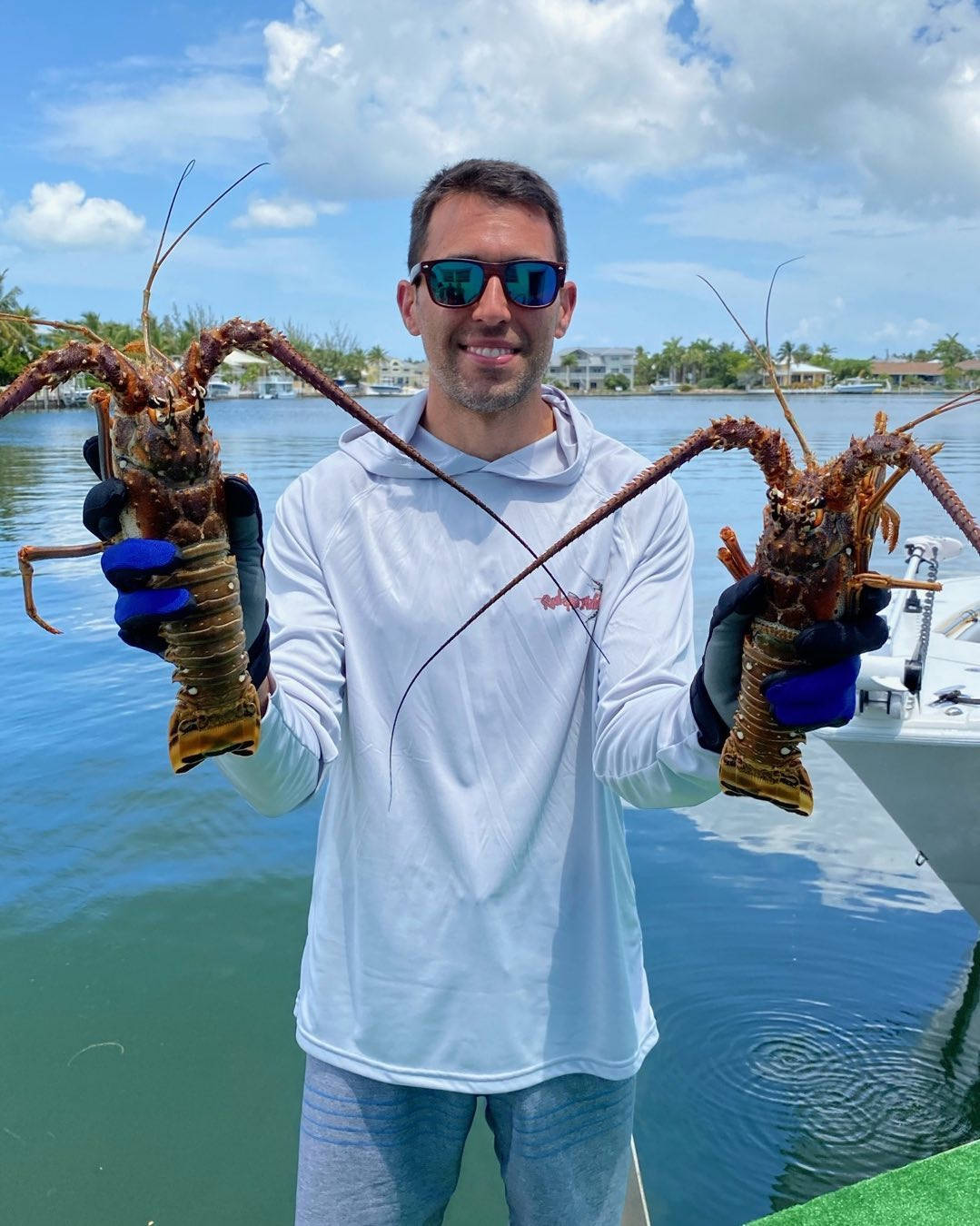 Seafood Loving Aric Almirola Background