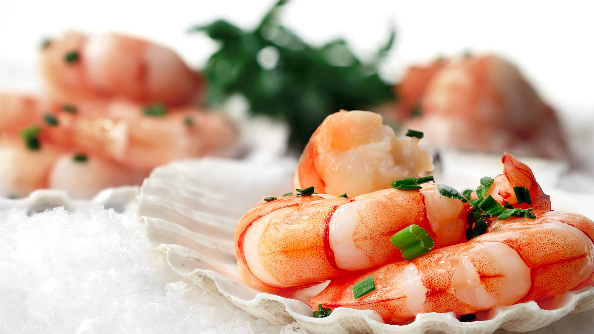 Seafood Skinless Shrimp Background