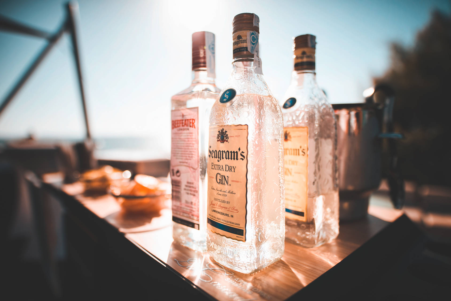 Seagram's Extra Dry Gin Bottle Against A Dark Background Background