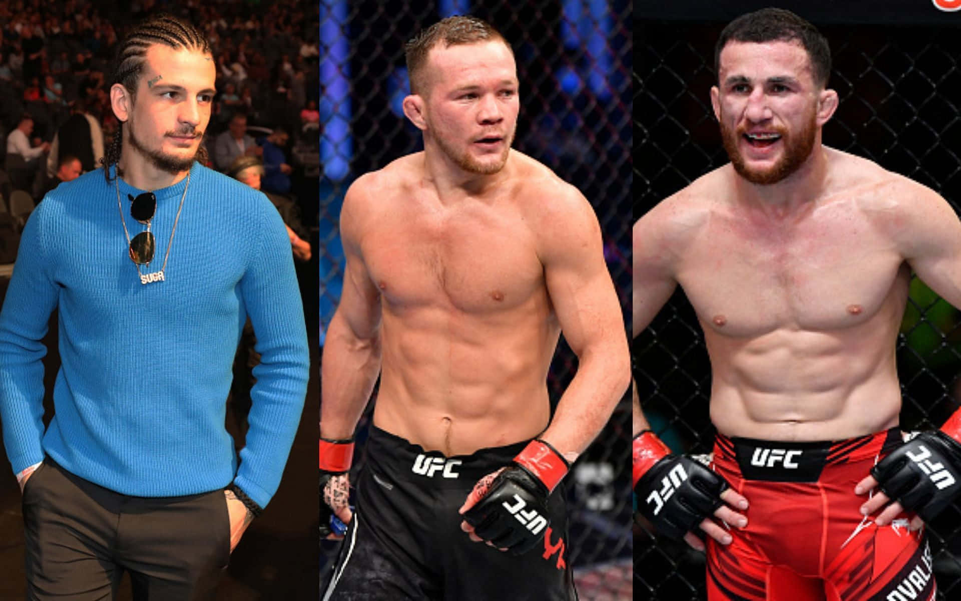 Sean Omalley Petr Yan Merab Dvalishvili Background