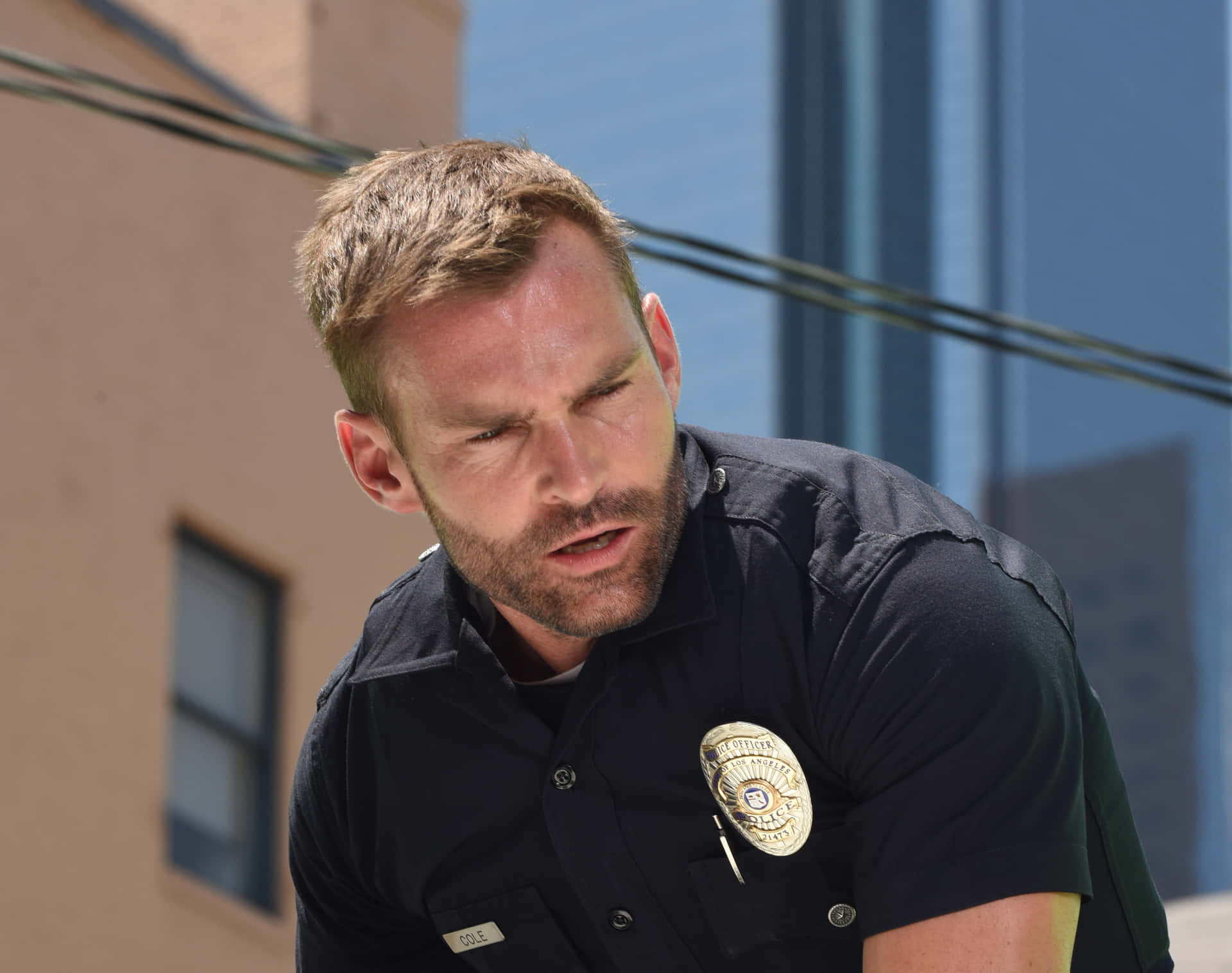 Seann William Scott [wallpaper]