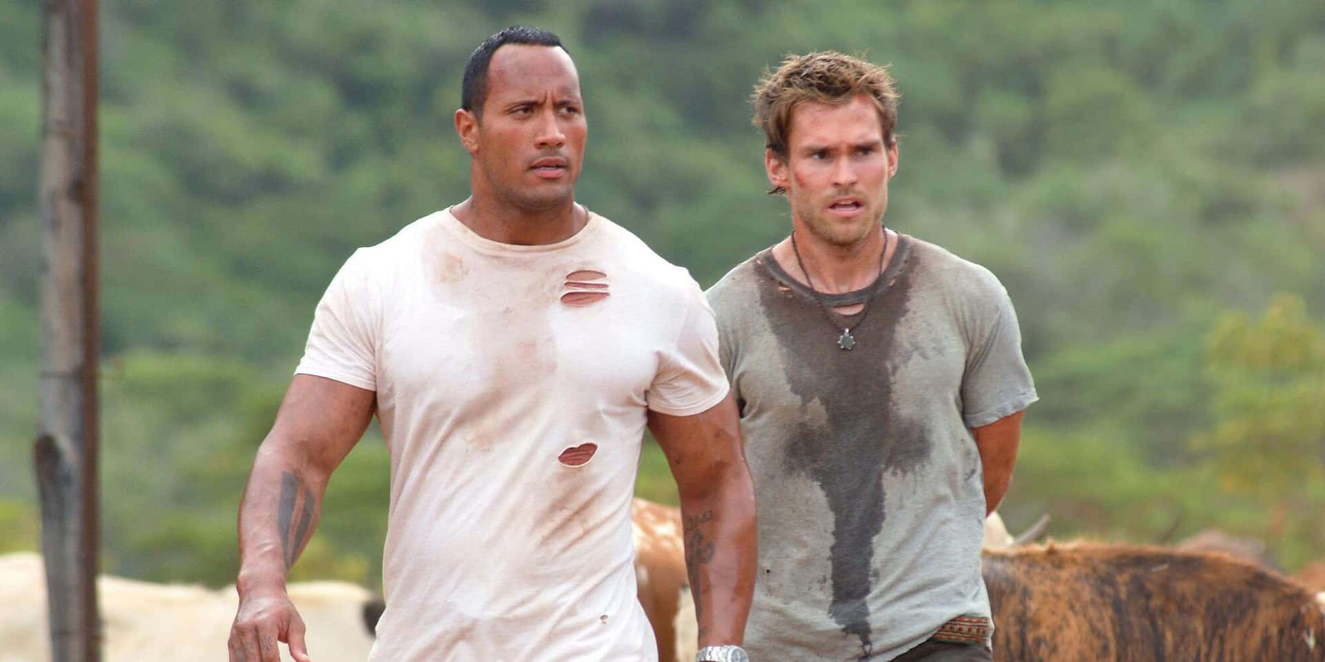 Seann William Scott [wallpaper] Background