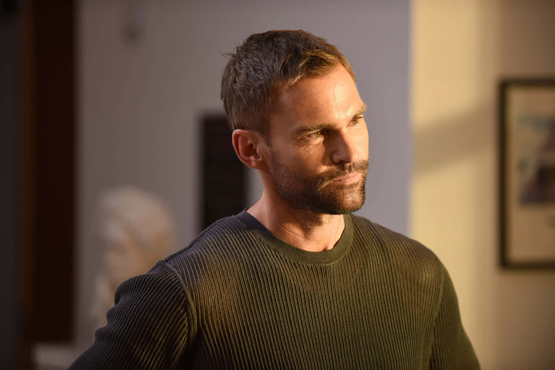 Seann William Scott [wallpaper]