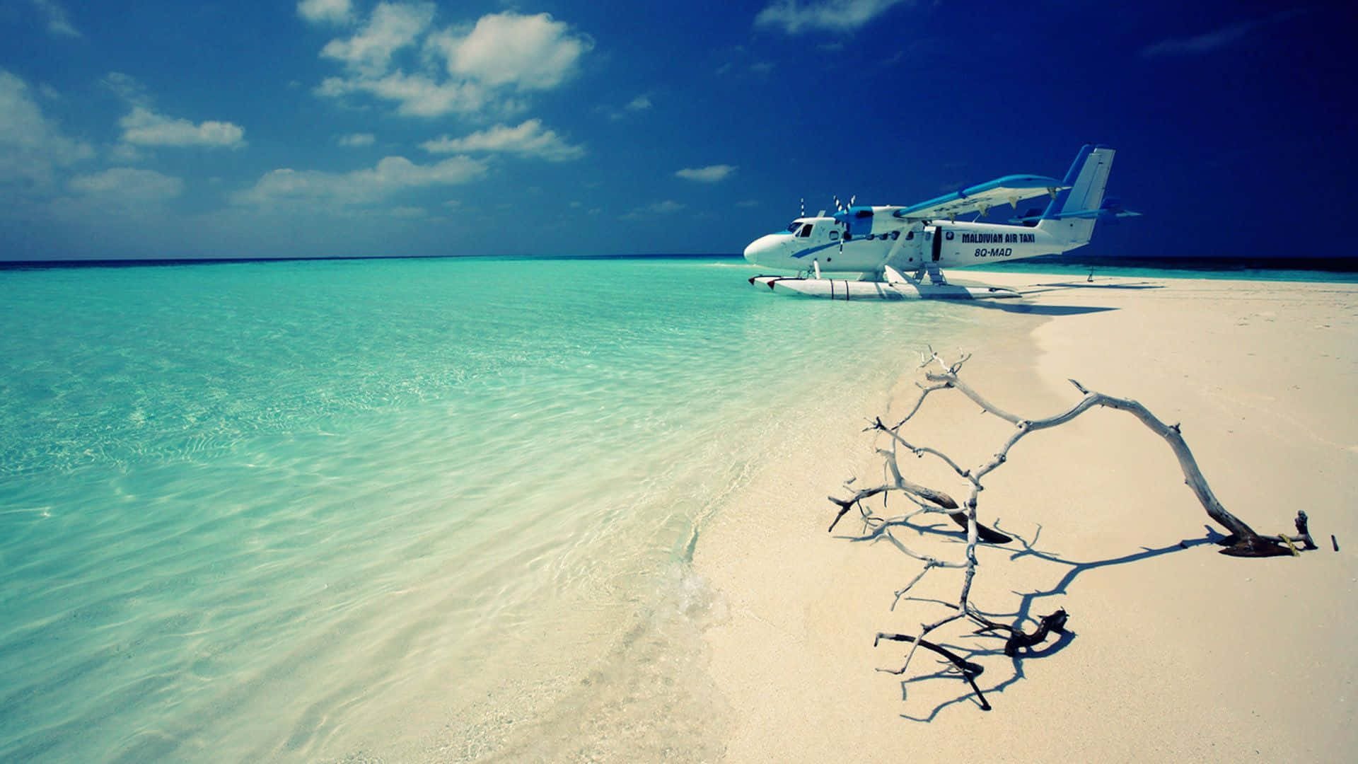 Seaplane_on_ Tropical_ Beach