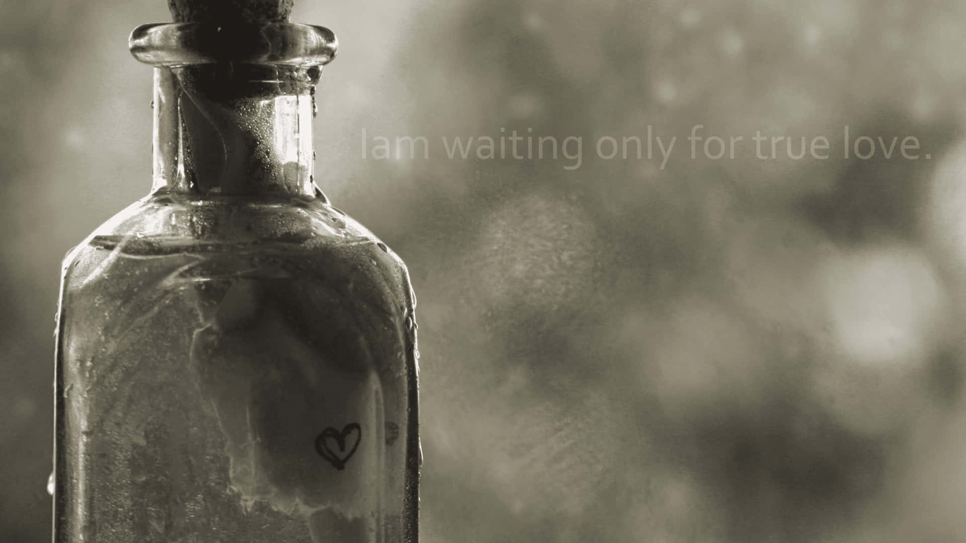 Searching For True Love Background