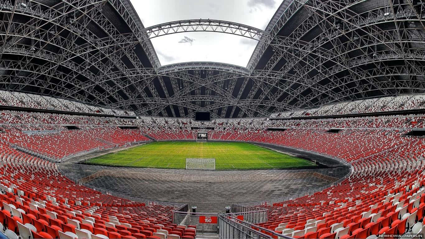 Searching The Stadium Background